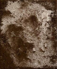 "Perro", Pintura contemporánea sobre algodón orgánico, Art Povera, Earthworks, Tierra