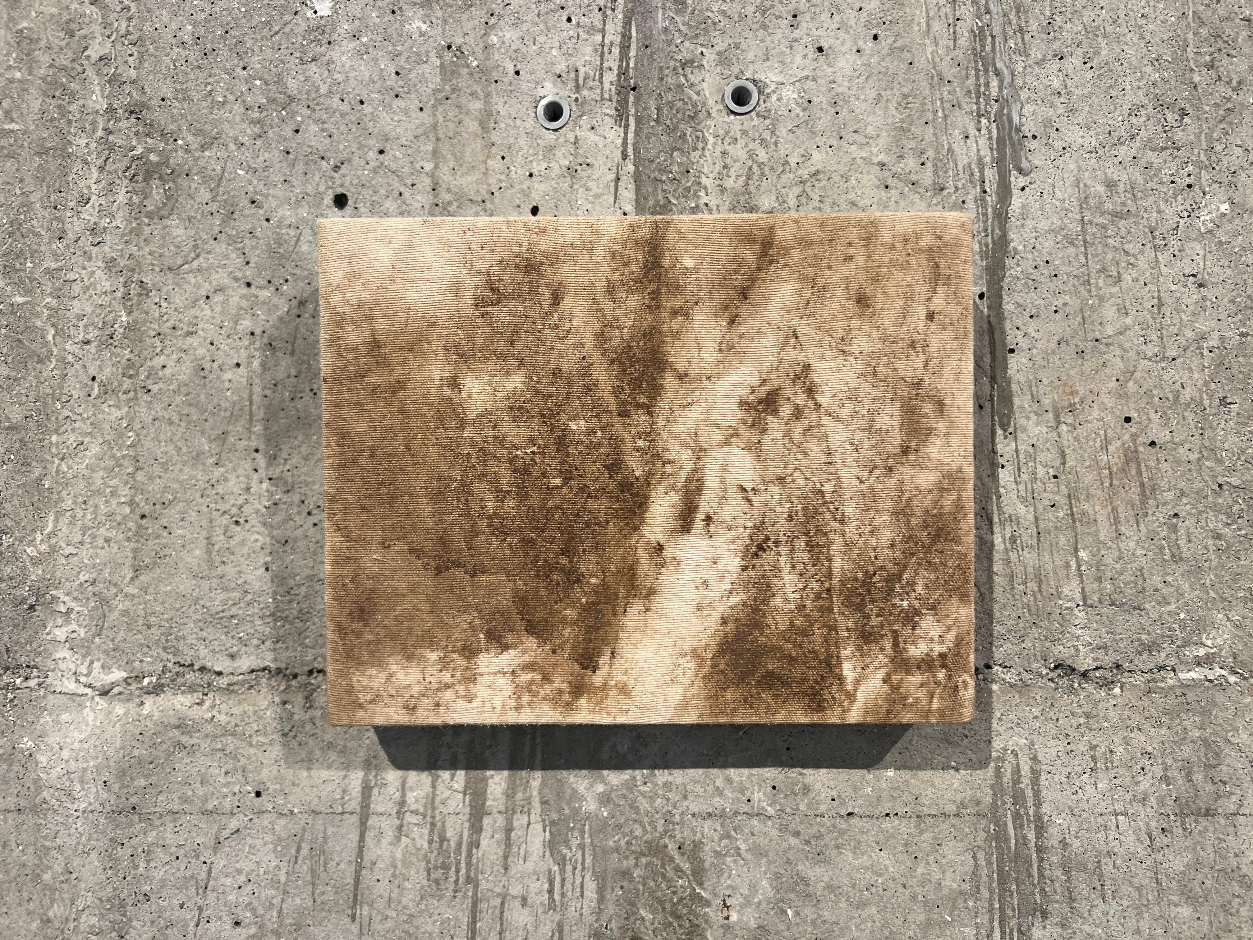 Land art, Tela di cotone e legno di pino, Pezzo originale, Marrone, Forme organiche. - Painting di TUSET