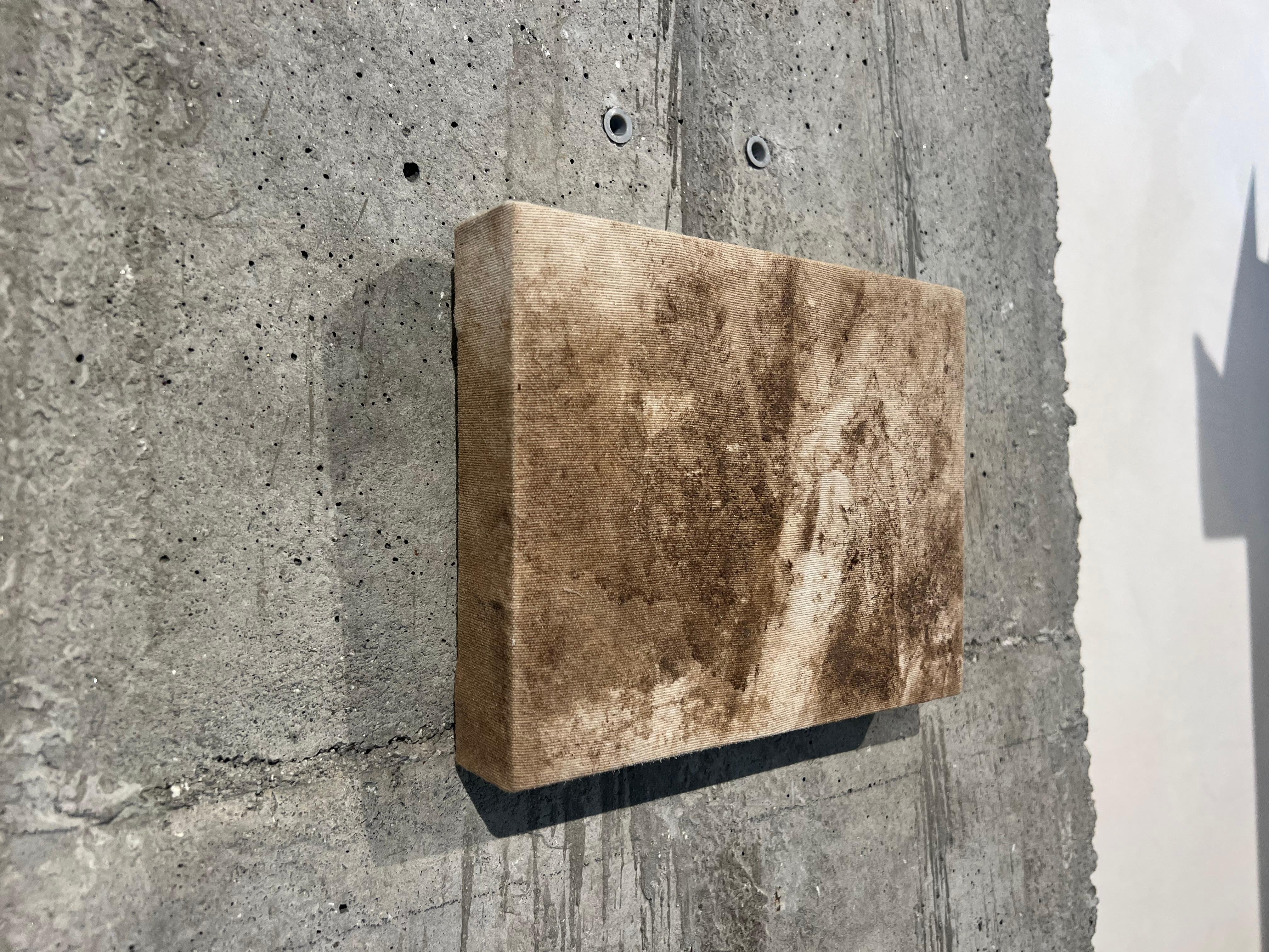 Land art, Tela di cotone e legno di pino, Pezzo originale, Marrone, Forme organiche. - Painting Arte povera di TUSET