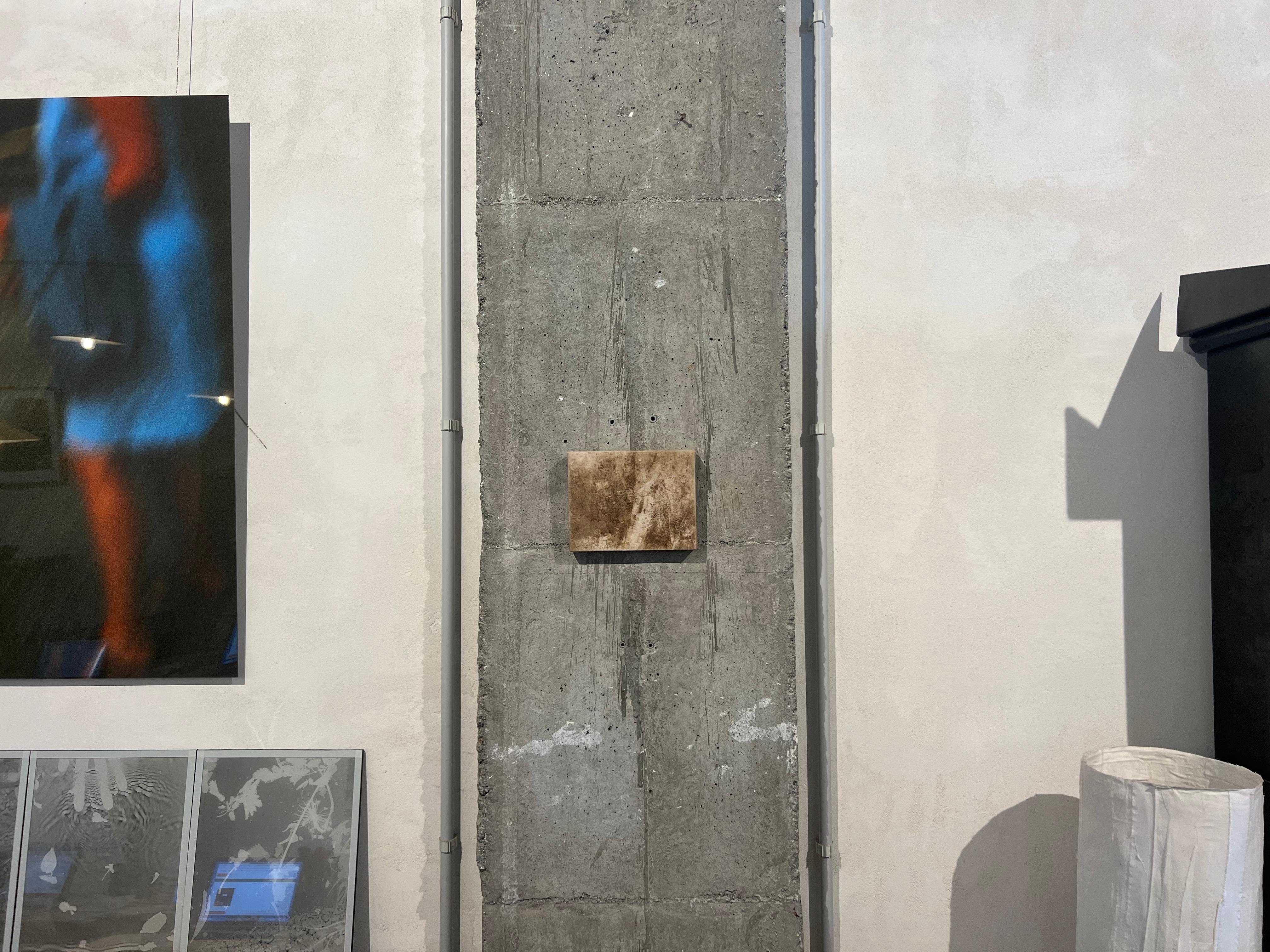 Land art, Tela di cotone e legno di pino, Pezzo originale, Marrone, Forme organiche. 1