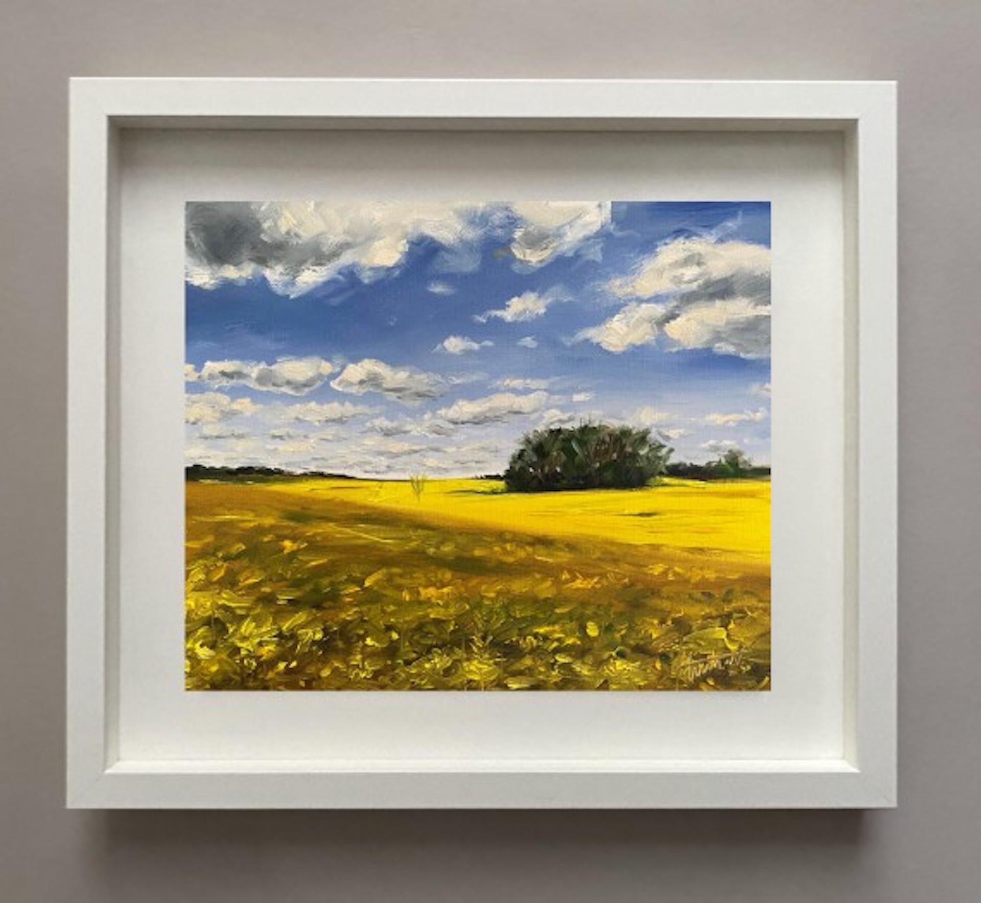 Tushar Sabale, Rapeseed Fields in Cotswold, Original-Ölgemälde, Kunst online im Angebot 1
