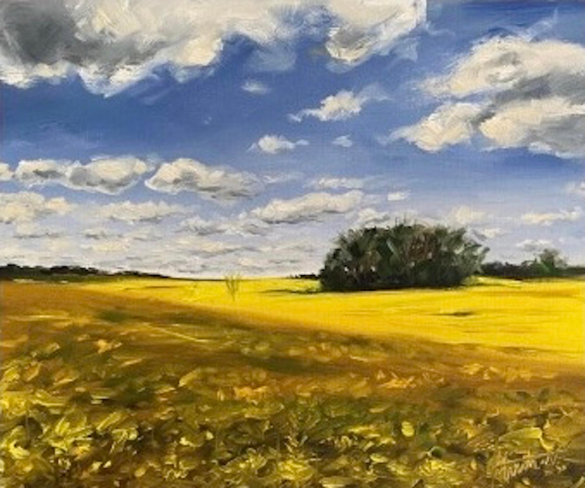 Tushar Sabale, Campos de colza en Cotswold, Pintura al óleo original, Arte Online