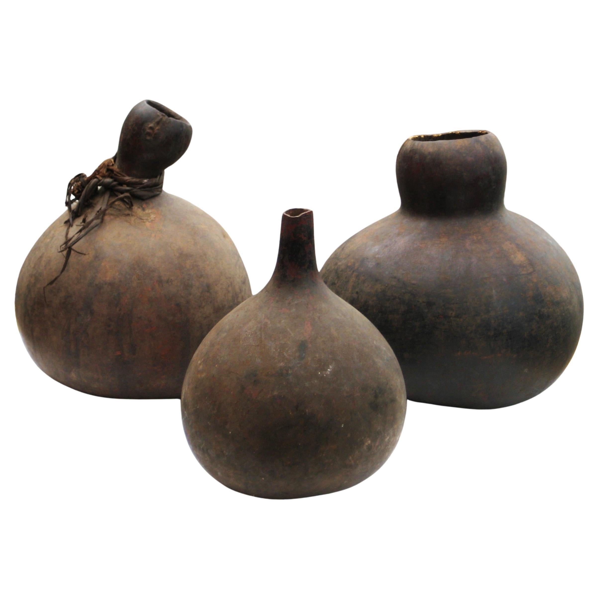 Three Tutsi gourd storage vessels (  liquids wine ) in good original condition with beautifully aged old surface color. Mid 20th century. Burundi Africa.  Measurements - gourd w/ woven natural grass wrapping at top - 12
