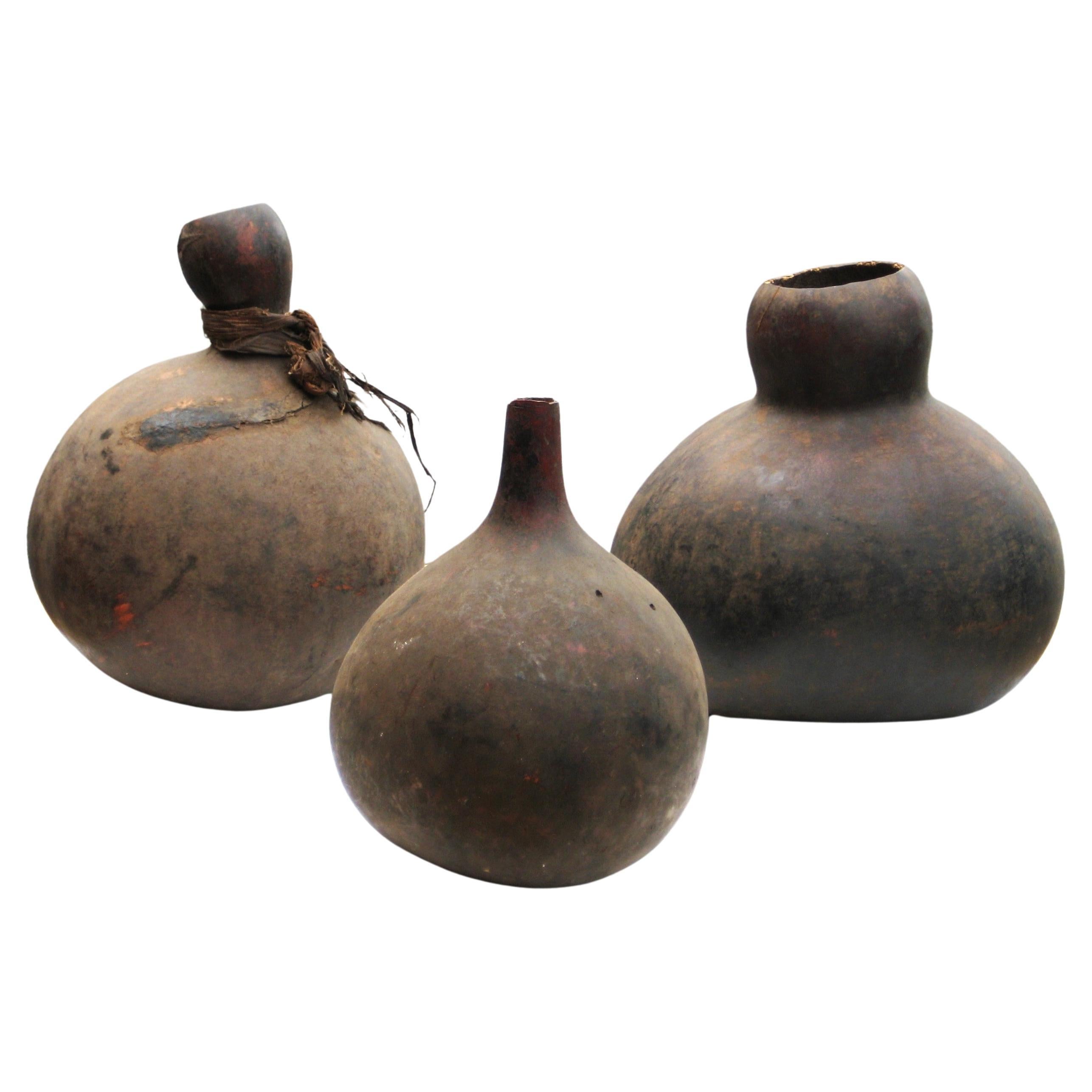 Hand-Carved Three Tutsi Gourd Vessels Burundi Africa For Sale
