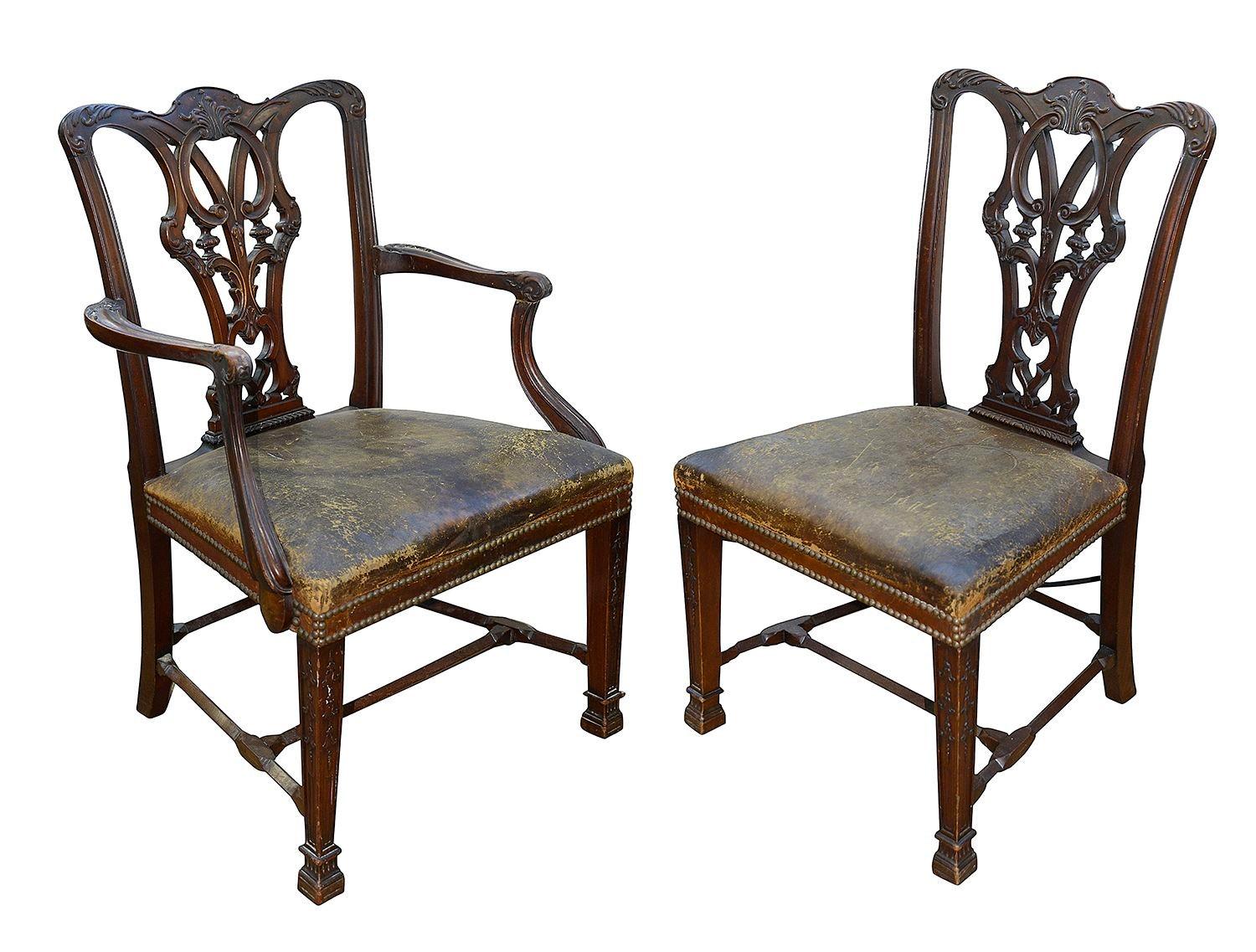 A good quality set of twelve Chippendale style mahogany dining chairs, ( two arms, ten single chairs) Each with finely hand carved and pierced scrolling foliate decoration to the back rests, leather upholstered stuff over seats with French brass