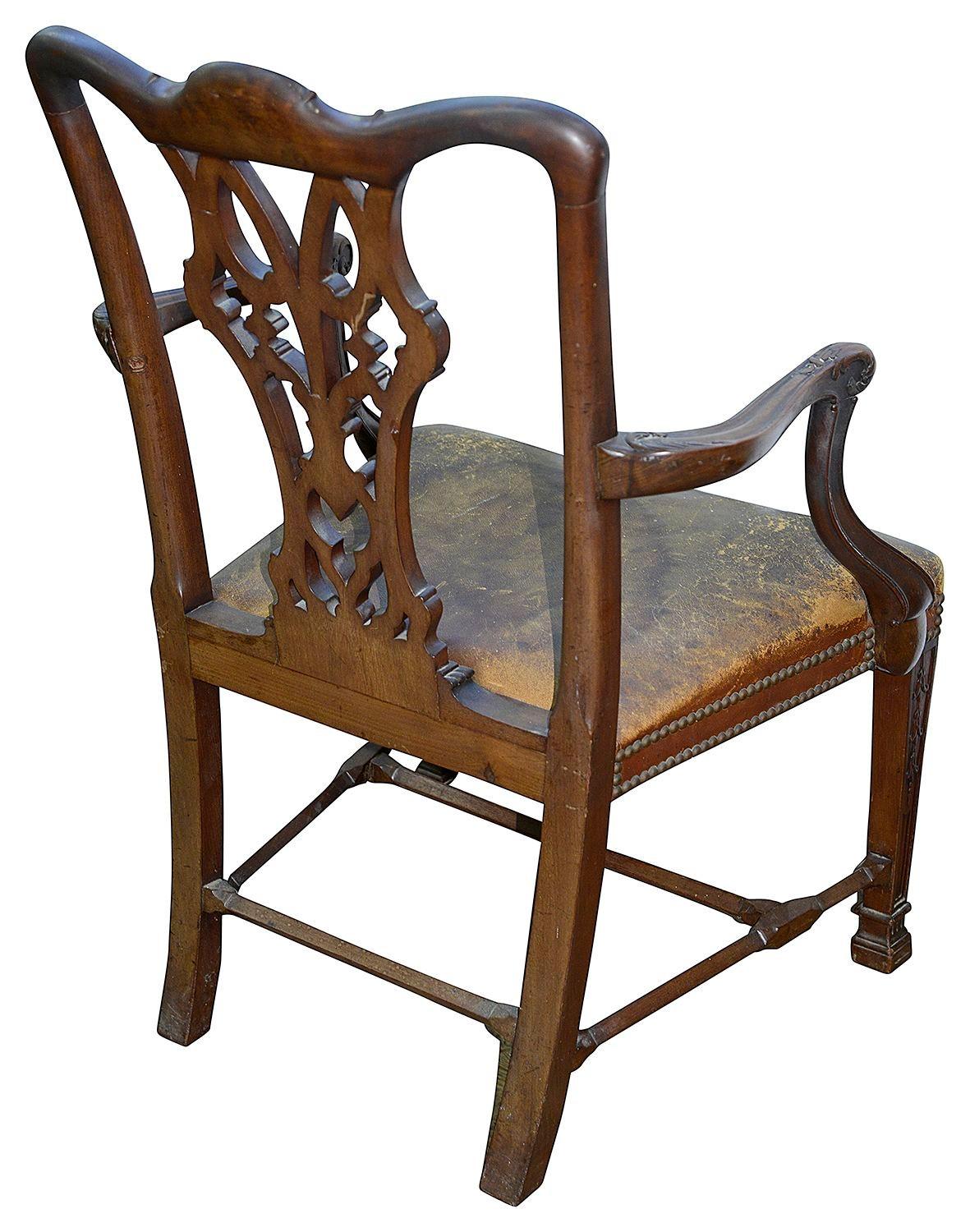 Carved Twelve 19th Century Chippendale Style Mahogany Dining Chairs For Sale