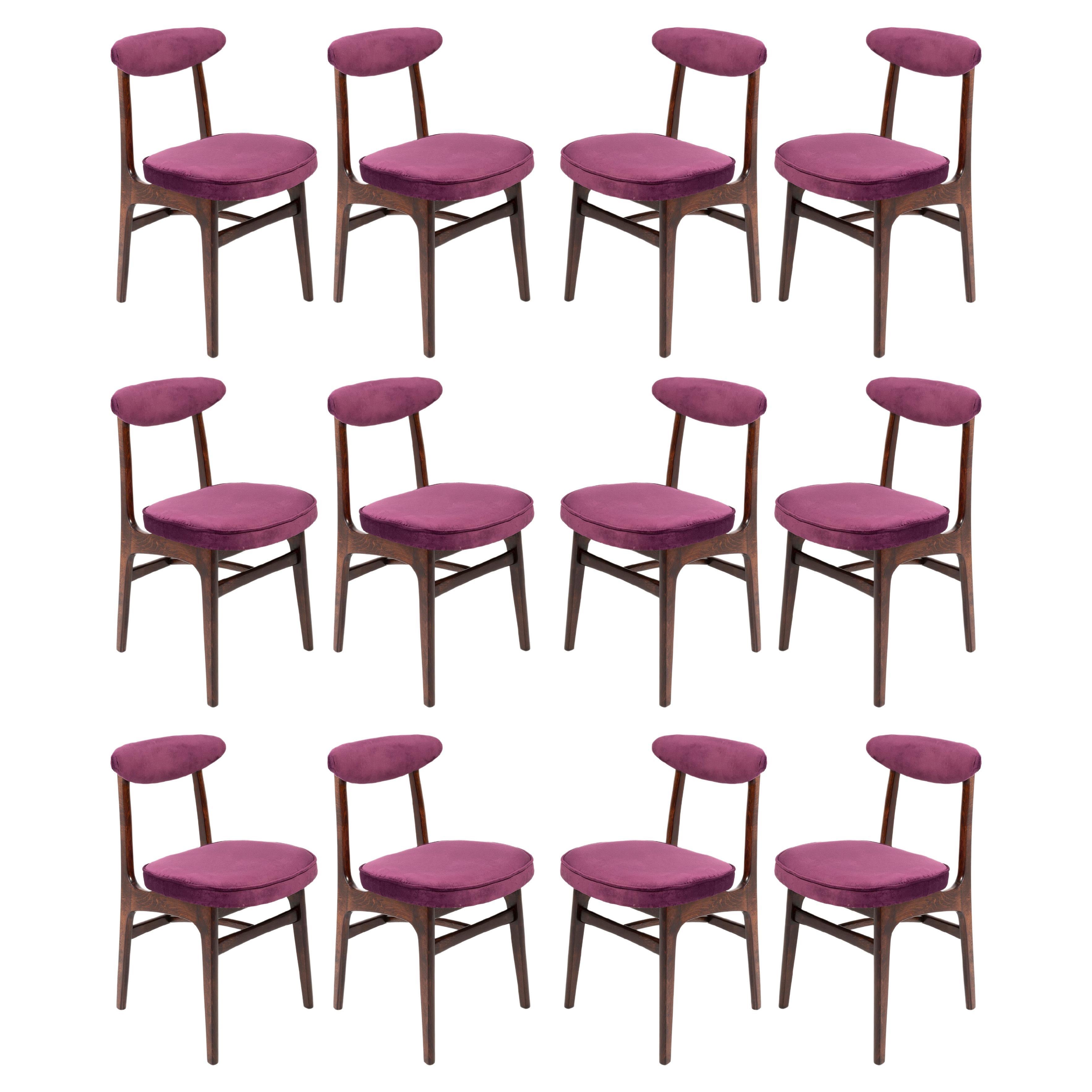 Twelve 20th Century Plum Violet Velvet Rajmund Halas Chairs, Europe, 1960s For Sale