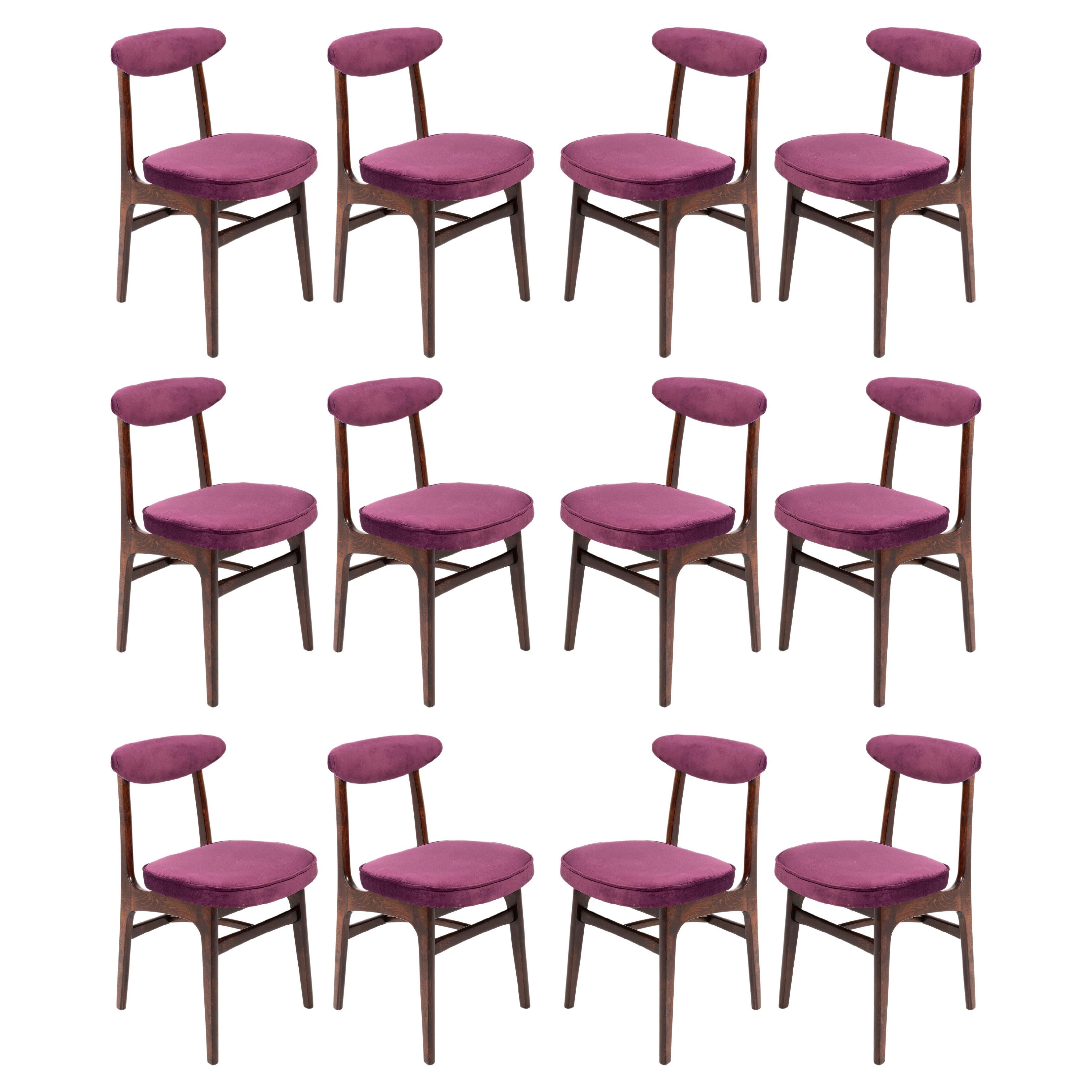 Twelve 20th Century Plum Violet Velvet Rajmund Halas Chairs, Europe, 1960s