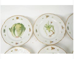 Twelve Anna Weatherley Porcelain Salad Plates