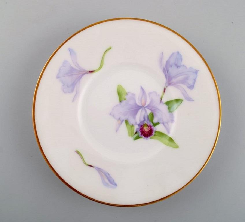 Danois Douze assiettes anciennes uniques en porcelaine Royal Copenhagen avec fleurs d' iris en vente