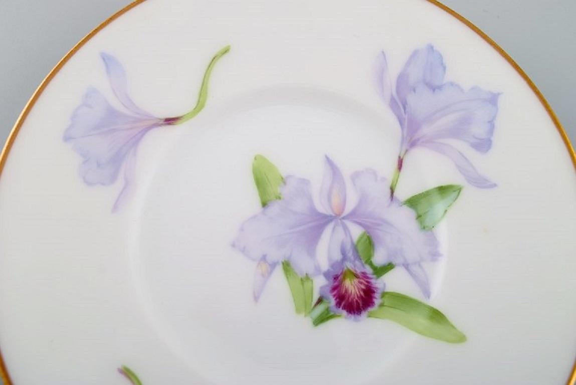 Hand-Painted Twelve Antique Unique Royal Copenhagen Porcelain Plates with Iris Flowers For Sale