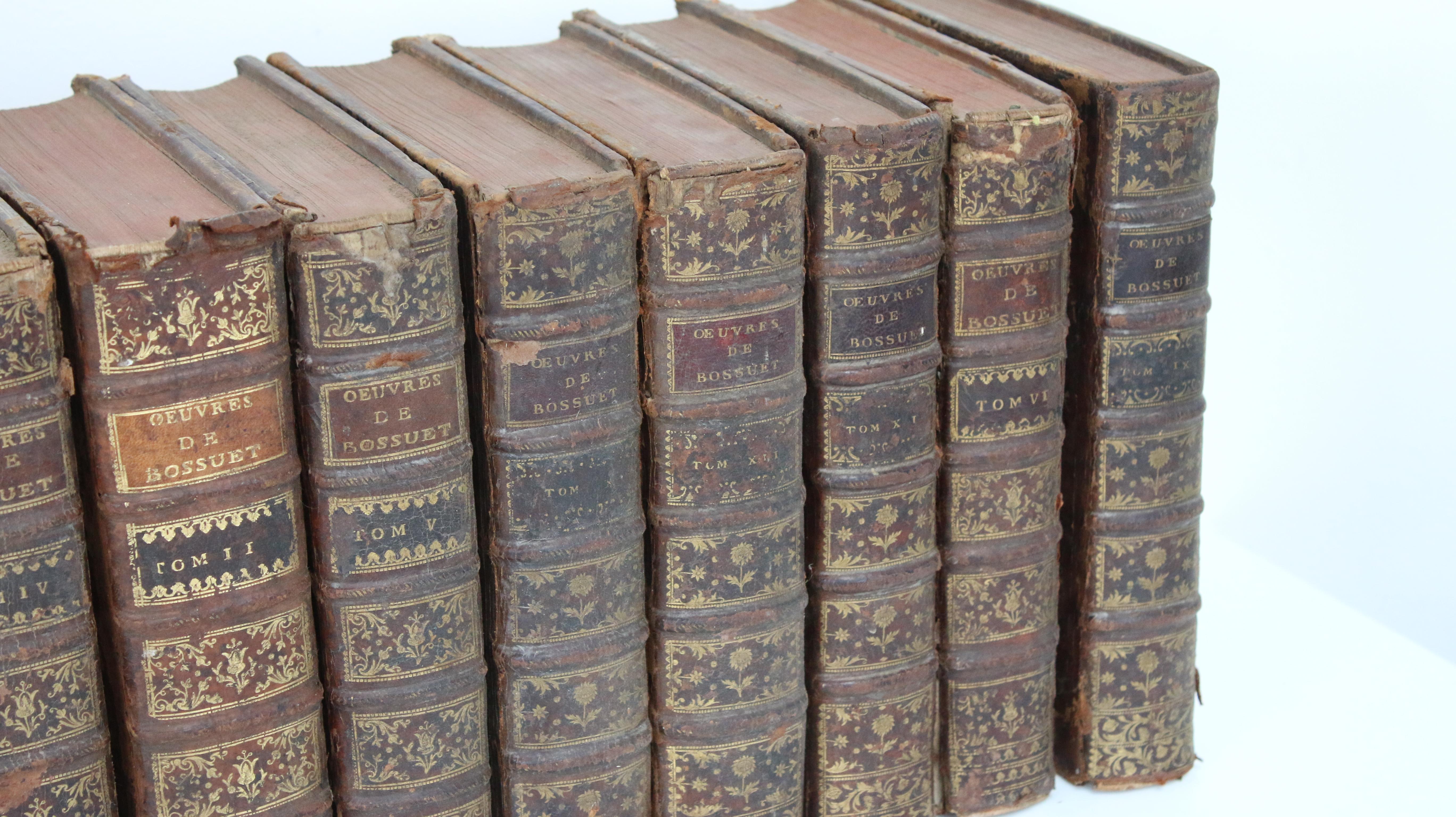 Twelve Decorative Uniformly Bound 18th Century French Antique Display Books 7