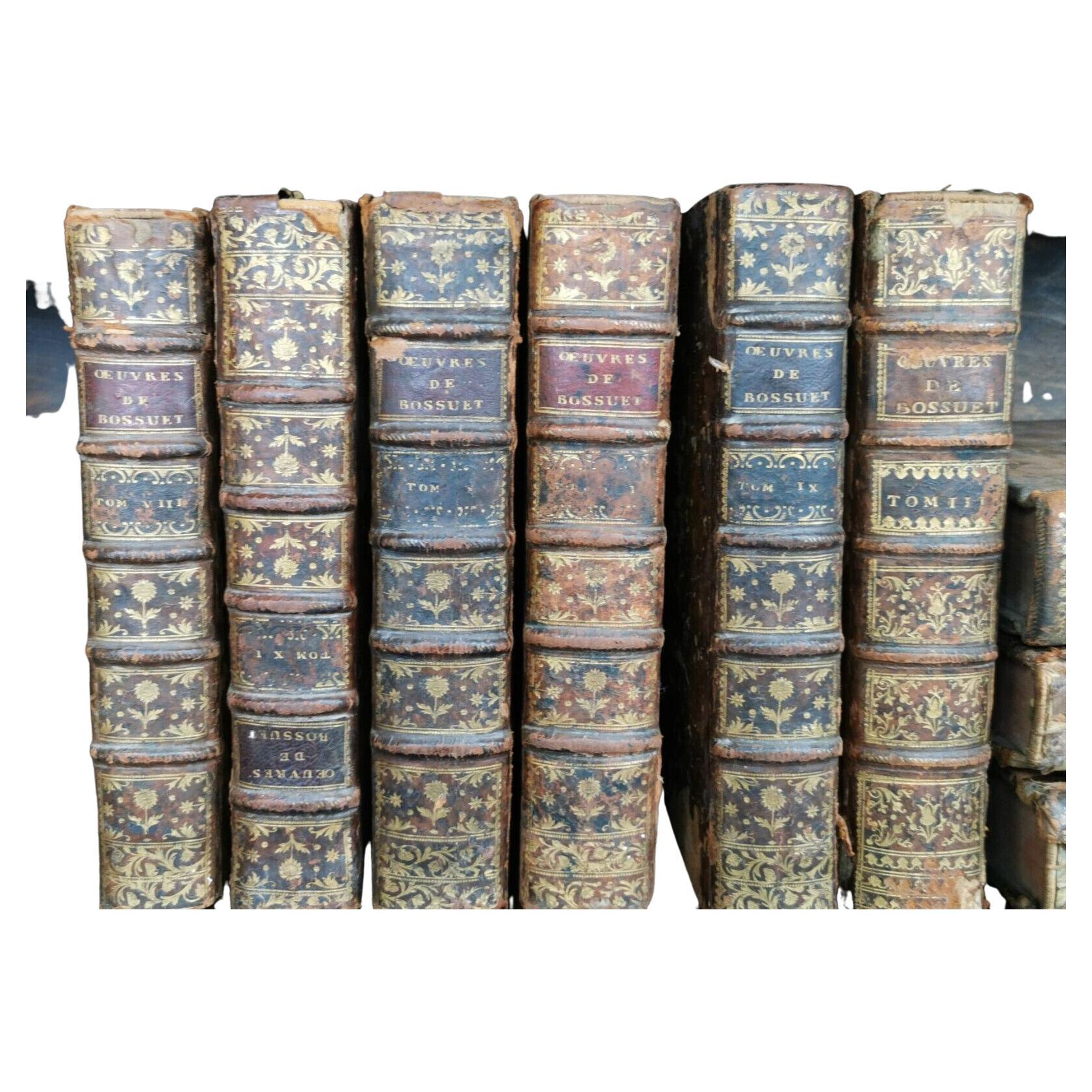 Twelve Decorative Uniformly Bound 18th Century French Antique Display Books  For Sale at 1stDibs