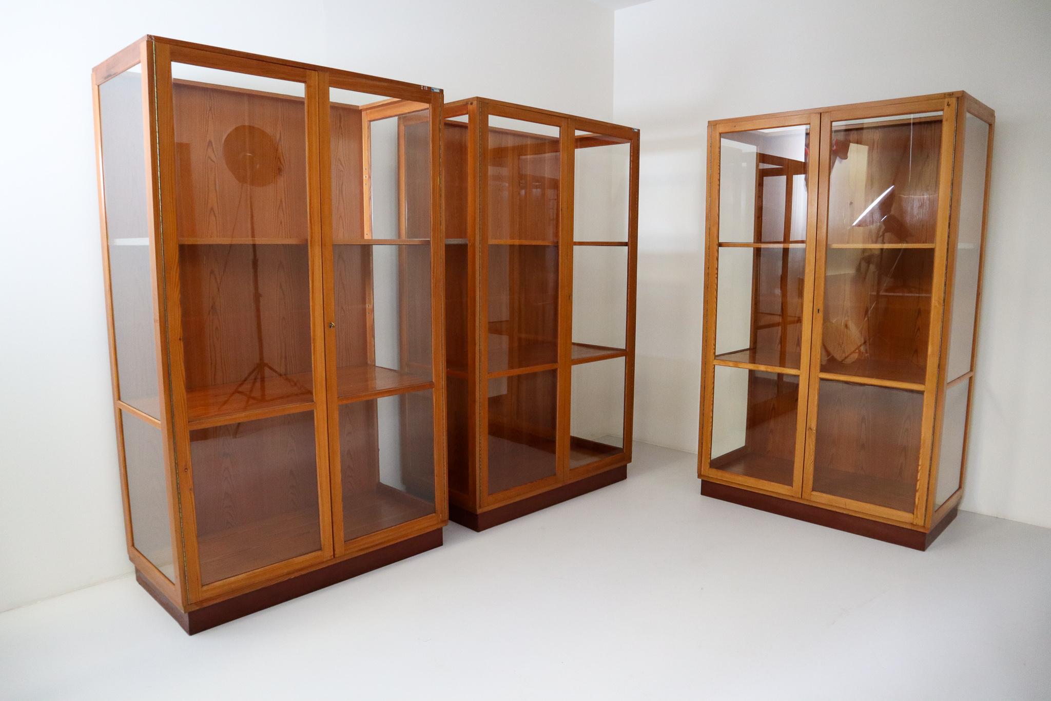 Twelve Glazed Display Cabinets from The National Museum in Praque, 1950s (Moderne der Mitte des Jahrhunderts)