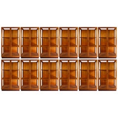 Twelve Glazed Display Cabinets from The National Museum in Praque, 1950s