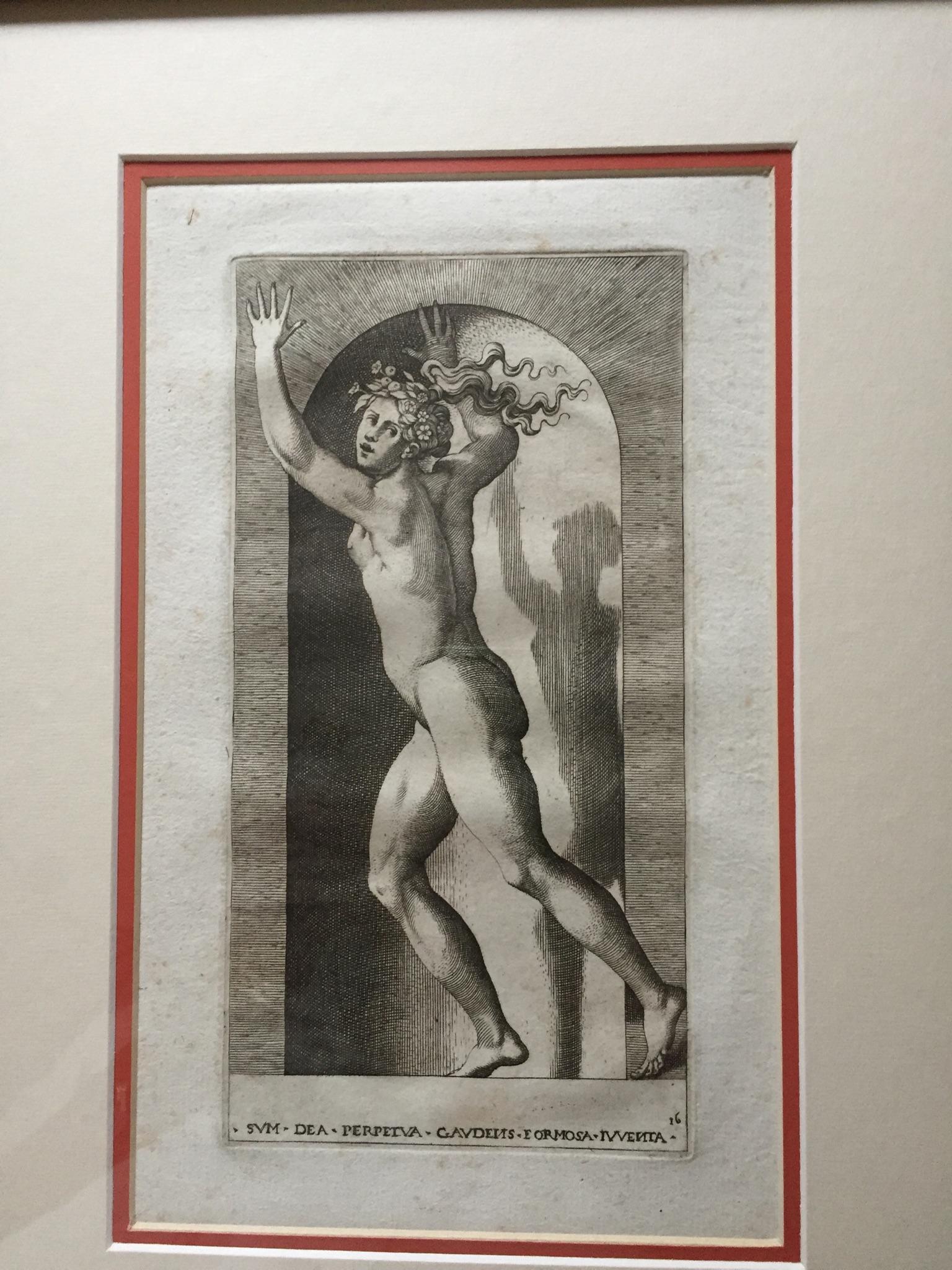 Twelve Ingravings 18th Century by Carlo Losi from Rosso The Presence of The Gods For Sale 8