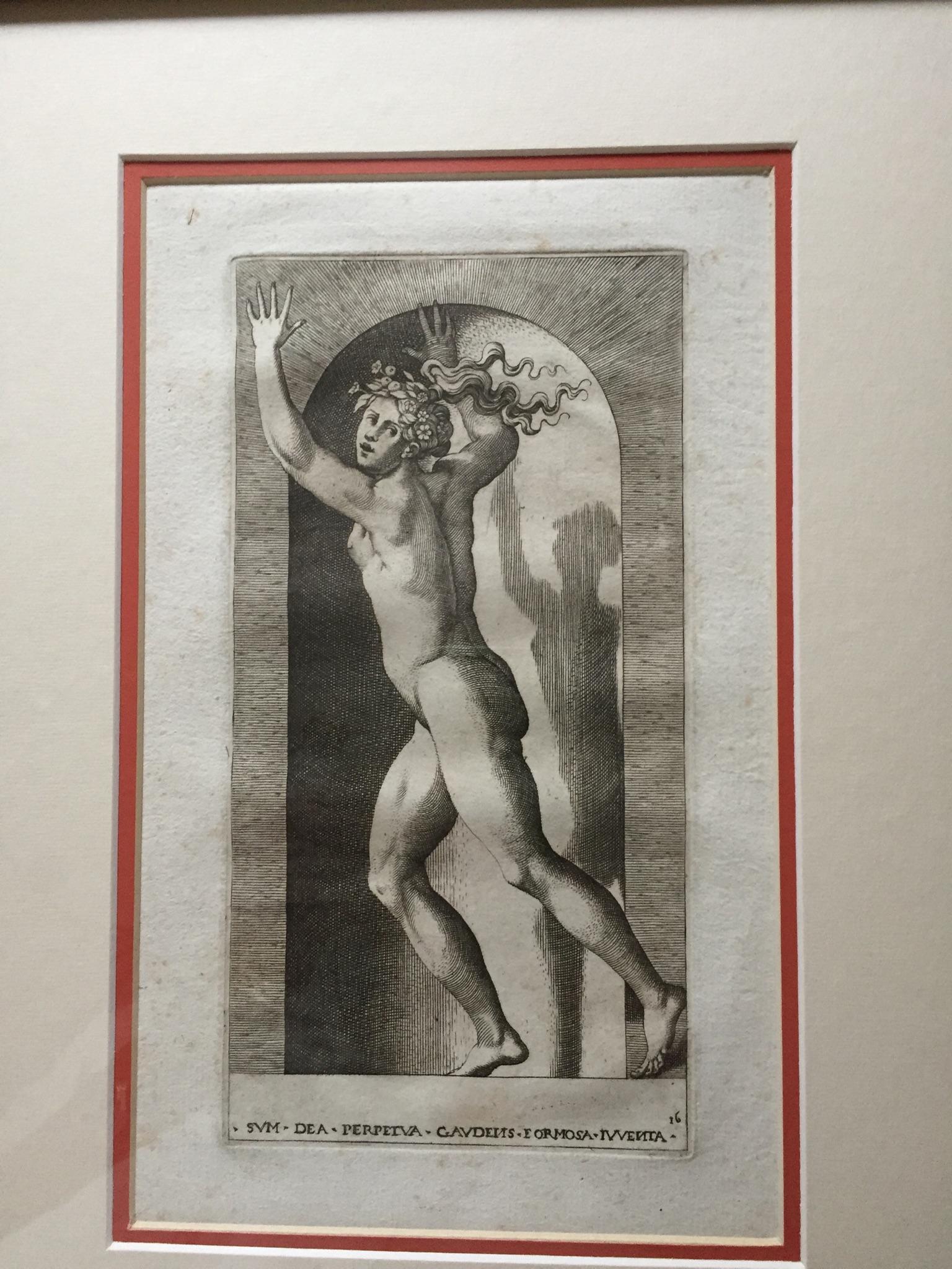 Dodici incisioni del XVIII secolo di Carlo Losi da Rosso La presenza degli dei in vendita 9