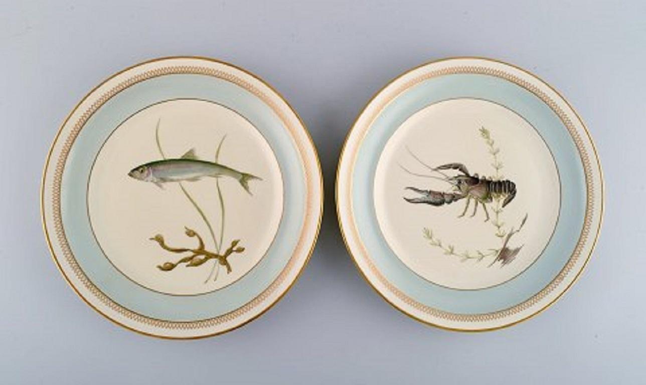 Twelve Royal Copenhagen porcelain dinner plates with hand-painted fish motifs and gold decoration. 
Fauna Danica style, mid-20th century. 
Model number 1158/9581.
Measure: Diameter: 24.5 cm.
In excellent condition.
Stamped.
1st factory quality.