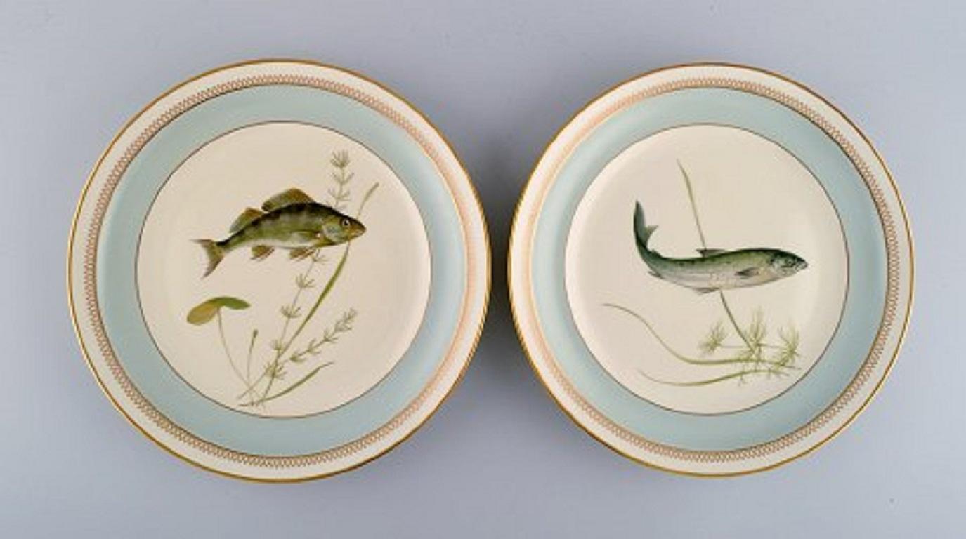 Danish Twelve Royal Copenhagen Porcelain Dinner Plates with Hand-Painted Fish Motifs
