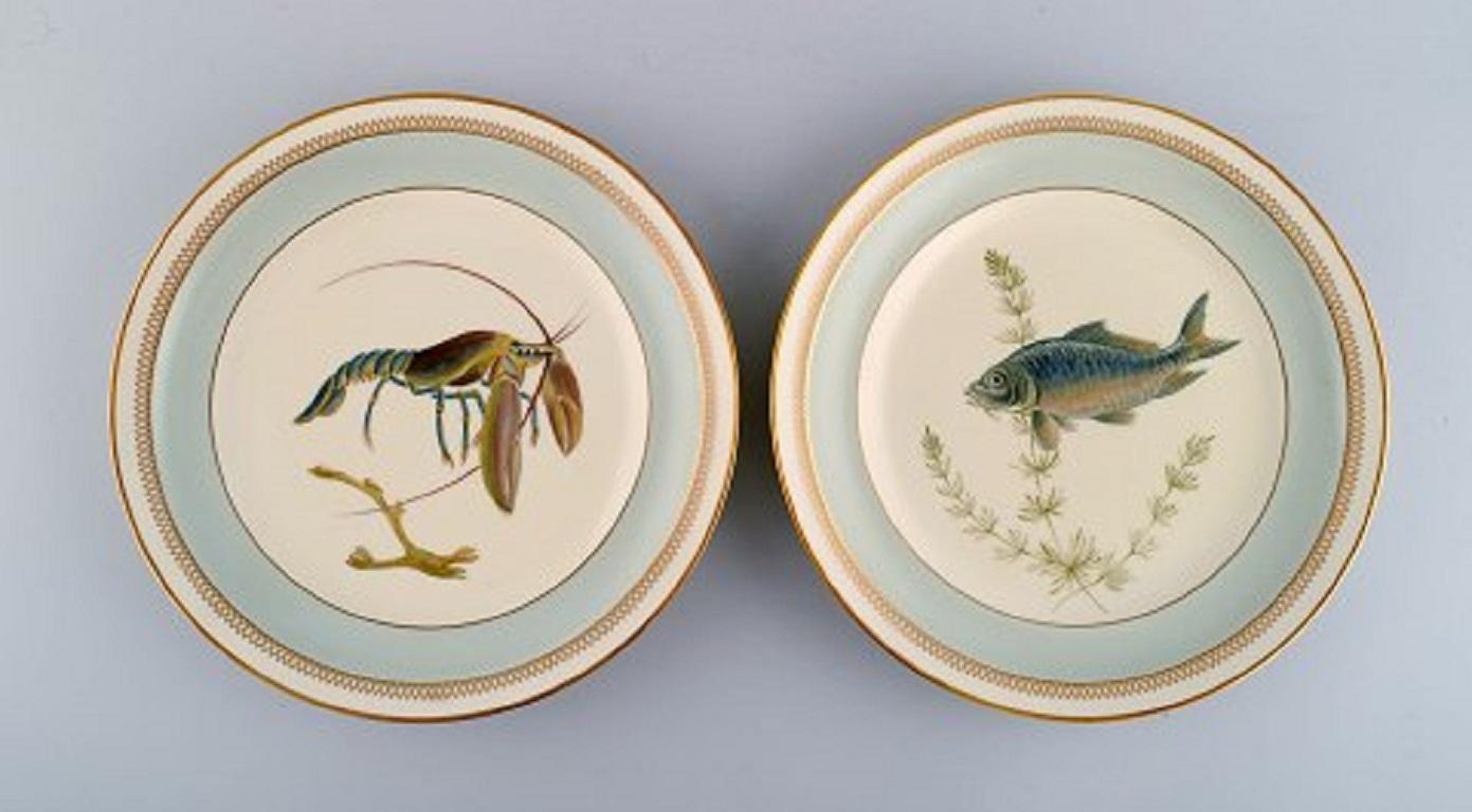 20th Century Twelve Royal Copenhagen Porcelain Dinner Plates with Hand-Painted Fish Motifs