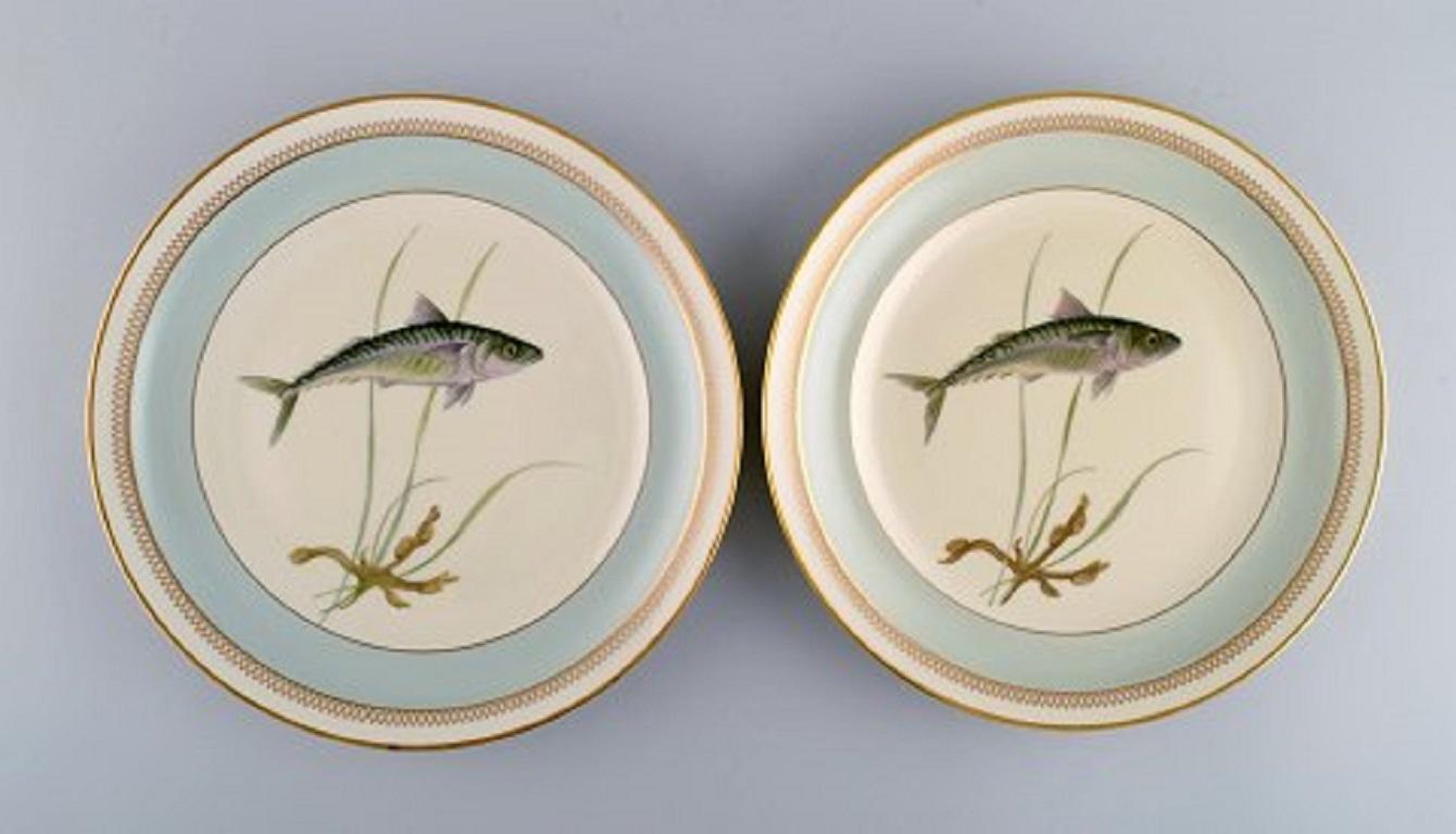 Twelve Royal Copenhagen Porcelain Dinner Plates with Hand-Painted Fish Motifs 2
