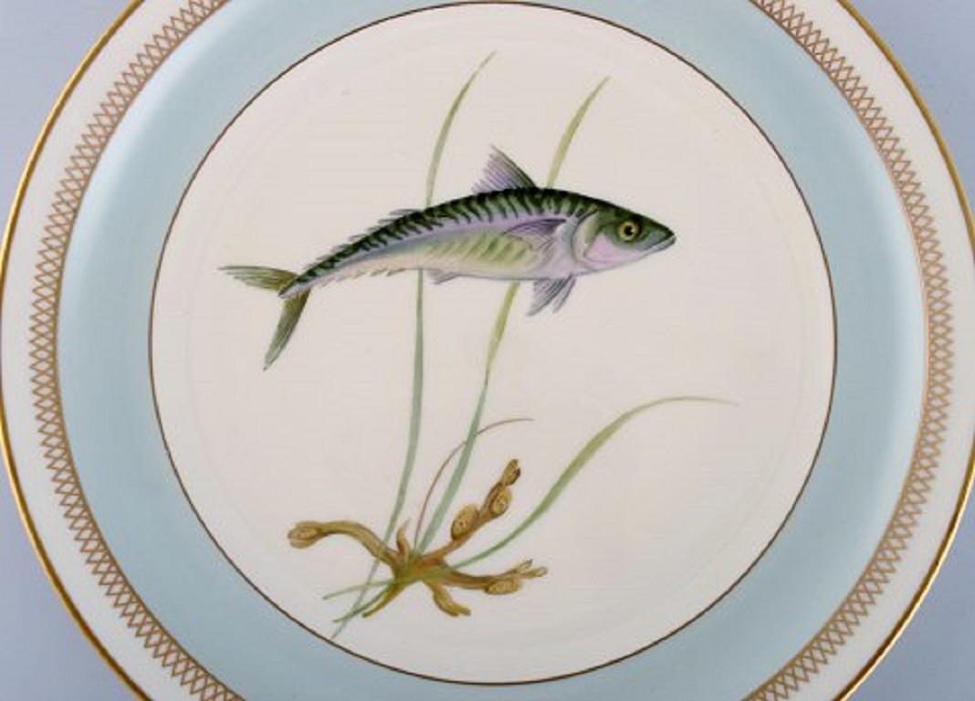 Twelve Royal Copenhagen Porcelain Dinner Plates with Hand-Painted Fish Motifs 3