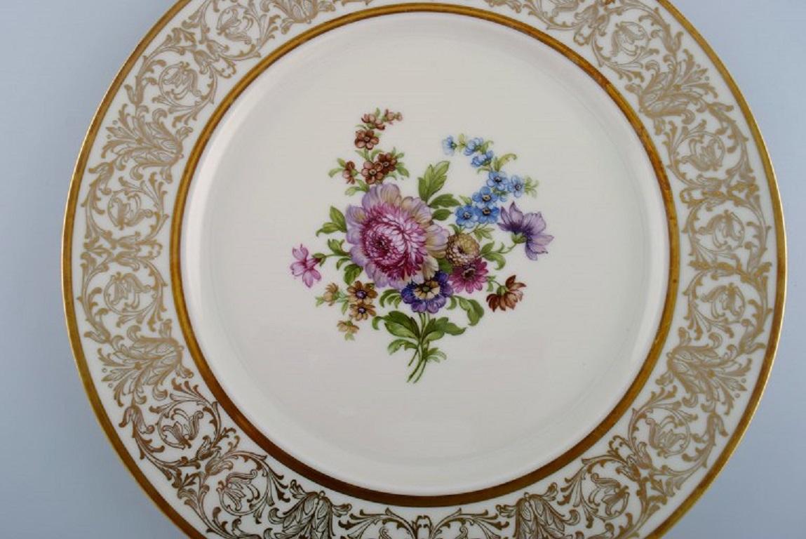 Twelve Tirschenreuth Dinner Plates in Porcelain Decorated with Flowers In Excellent Condition In Copenhagen, DK