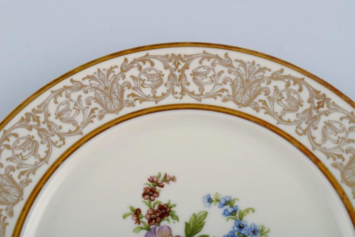 20th Century Twelve Tirschenreuth Dinner Plates in Porcelain Decorated with Flowers