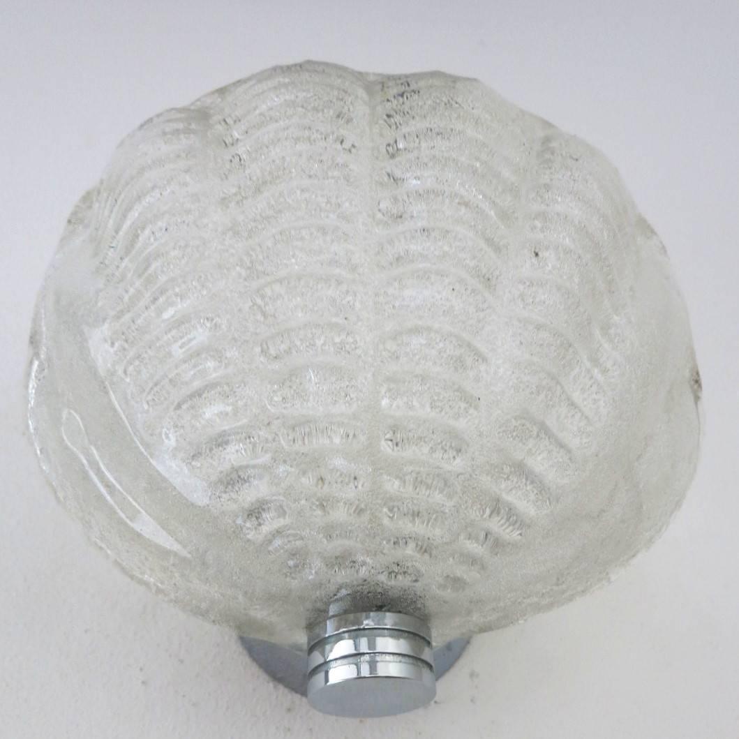 Italian 15 Vintage Sconces w/ Clear Murano Glass Sea Shell Designed by Mazzega 1960s