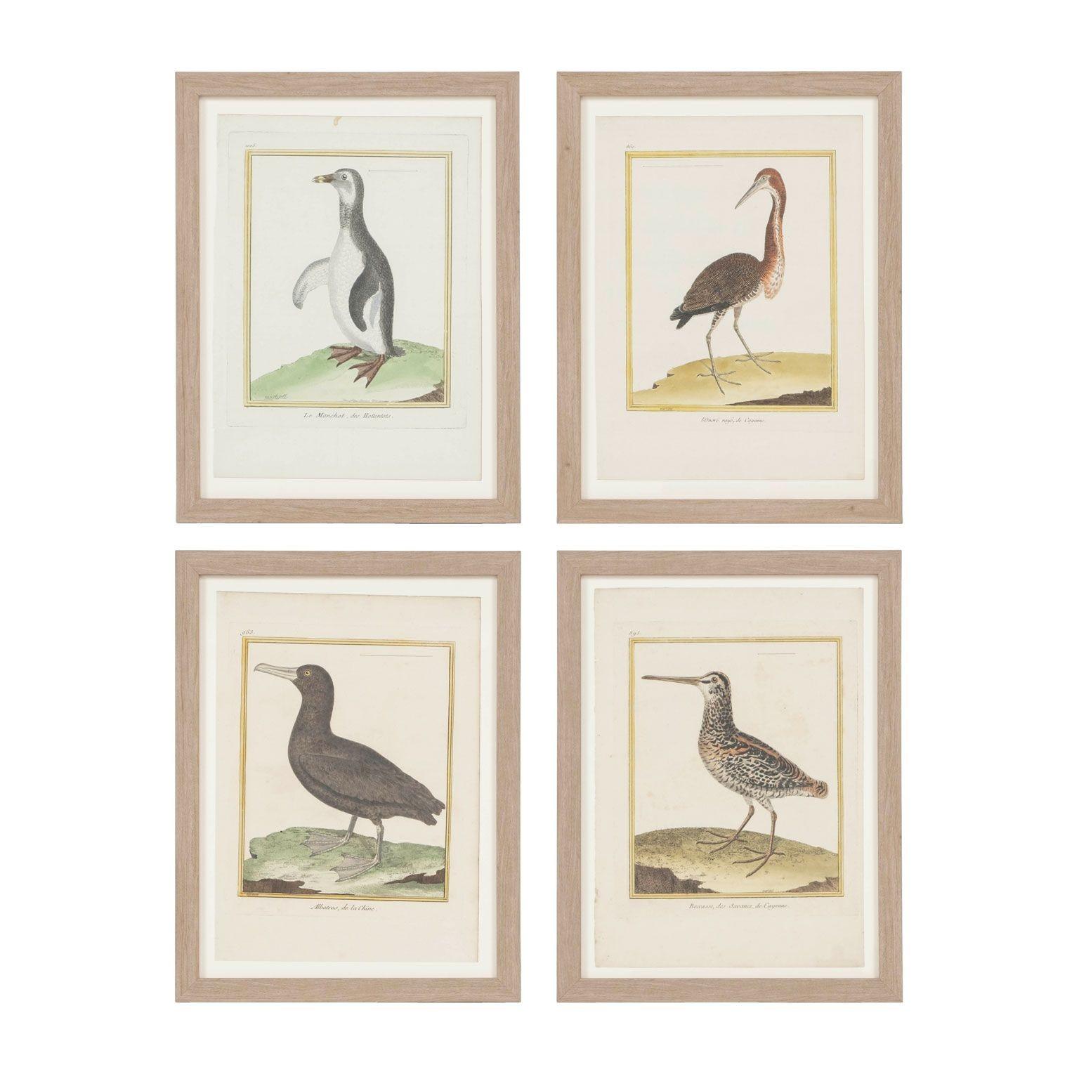 Twenty Hand-Colored Bird Engravings by François Nicolas Martinet 1