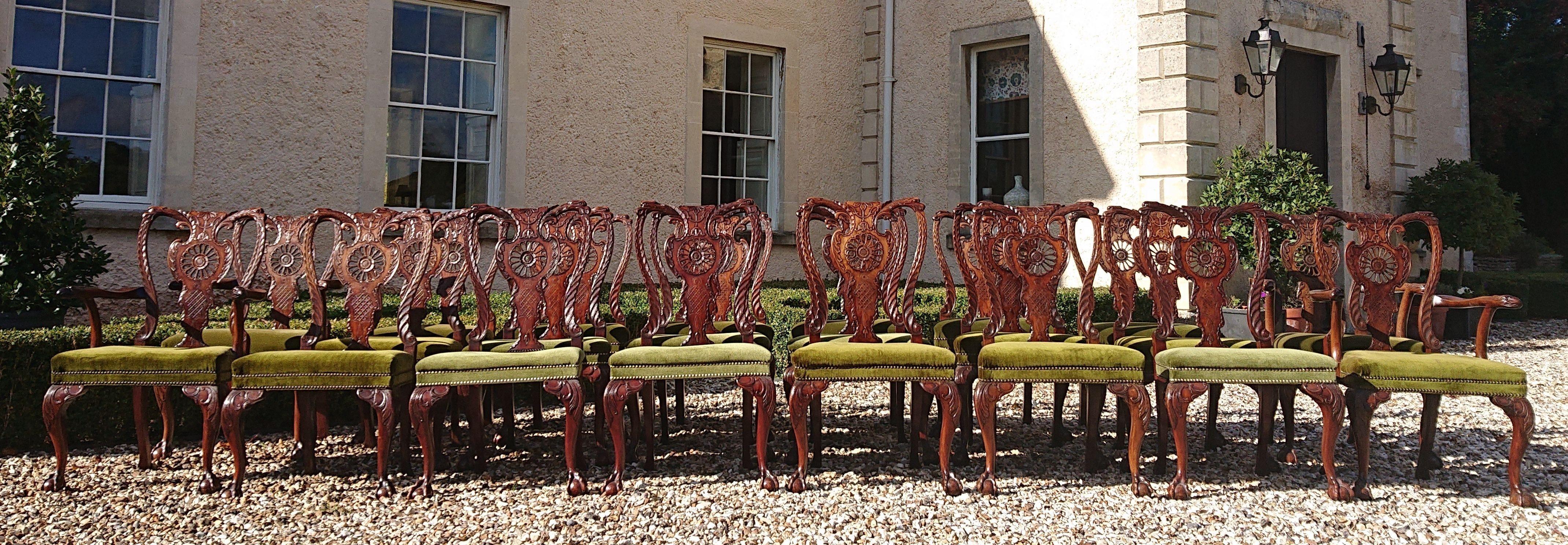 19th Century Twenty Two Antique Dining Chairs For Sale