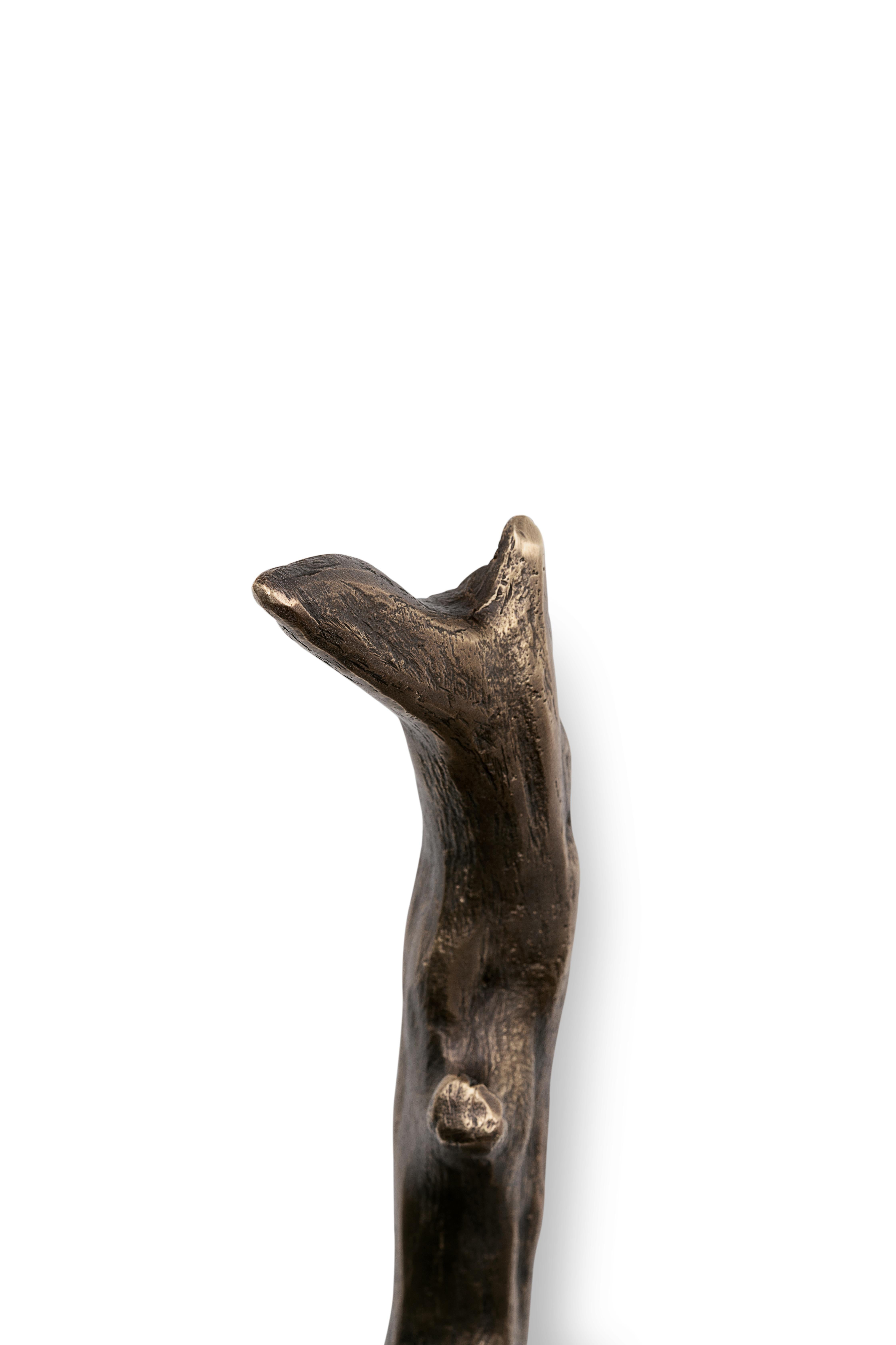 Spazzolato Tirapiedi Twig in vendita