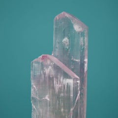 Twin Crystal Spondumine v Kunzite Mineral Specimen