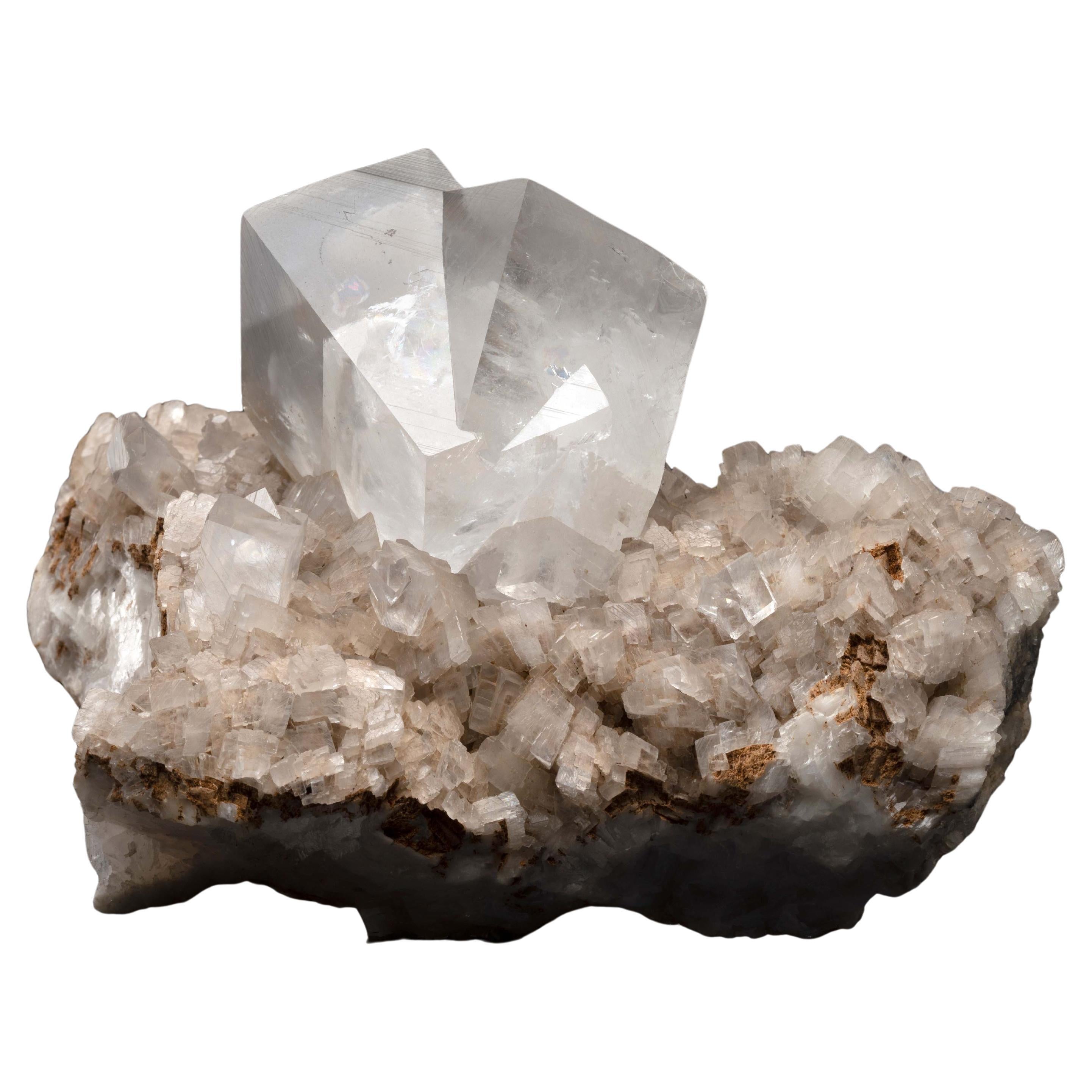 Neu und Sonderanfertigung Natural Specimens