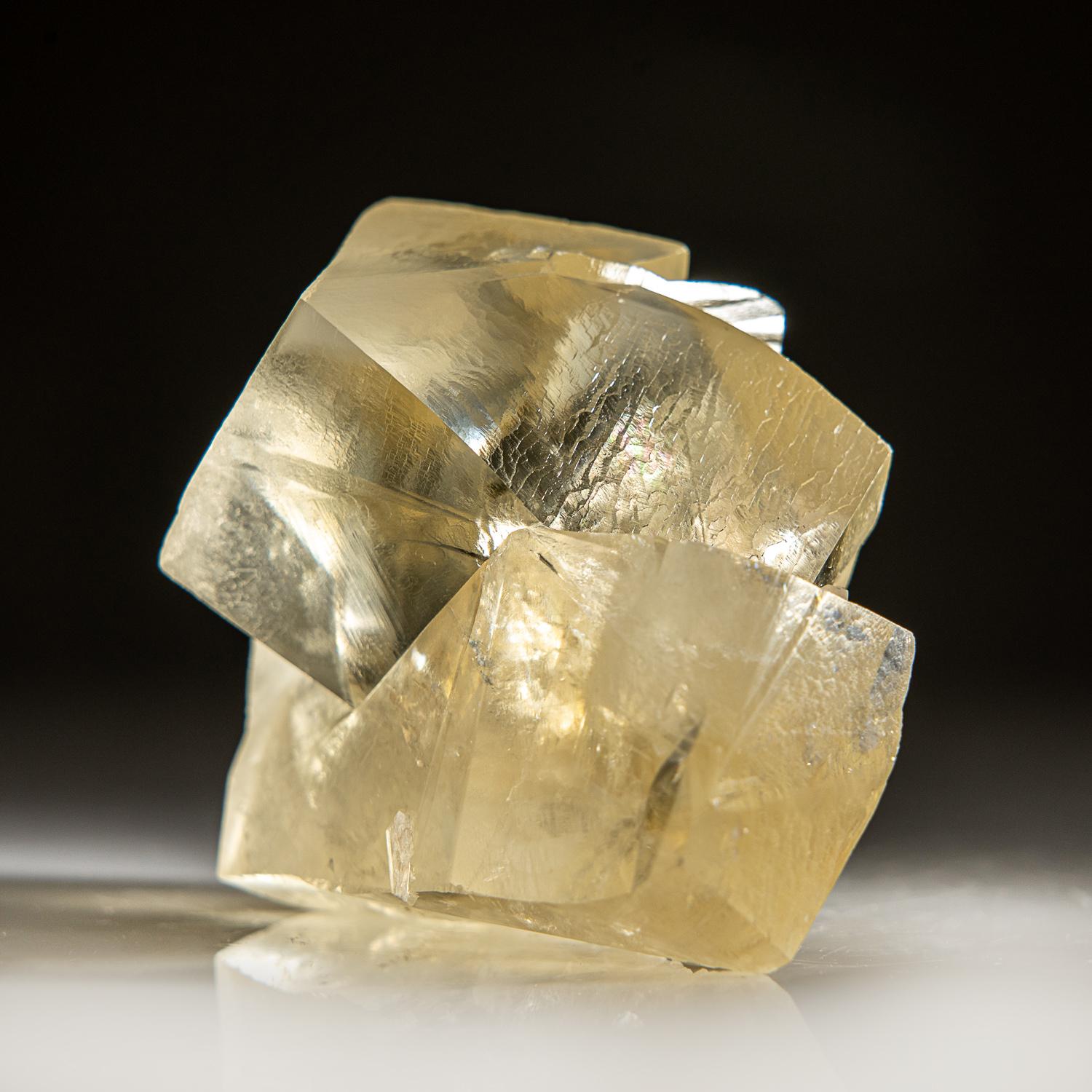 Cristalli gemelli penetranti di calcite giallo oro trasparente con facce di lucentezza setosa e terminazioni affilate. L'orientamento dei gemelli è ben definito e visibile attraverso le facce di terminazione.

 

Peso: 460 grammi, Dimensioni: 4 x