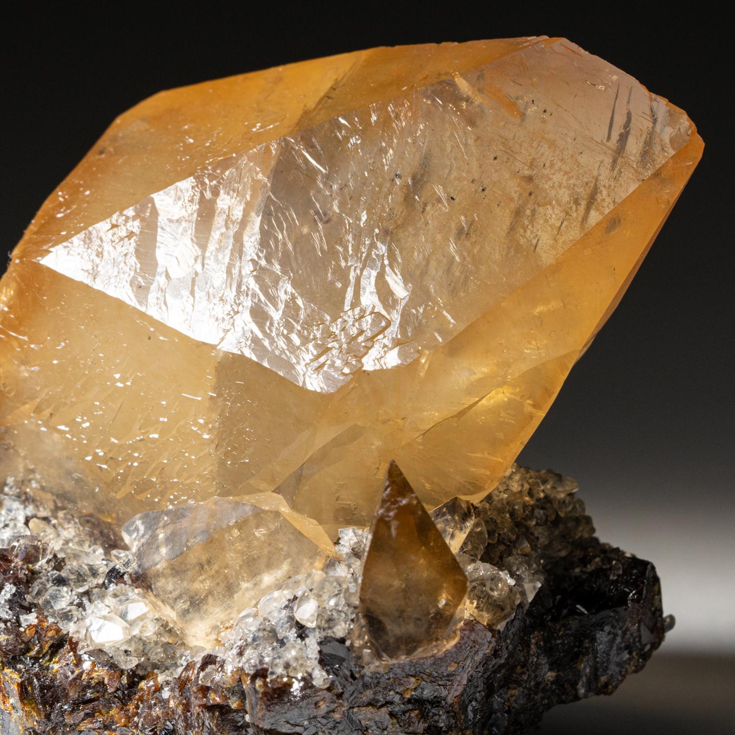 Twinned Golden Calcite Crystal from Elmwood Mine, Tennessee (153.1 grams) In New Condition For Sale In New York, NY