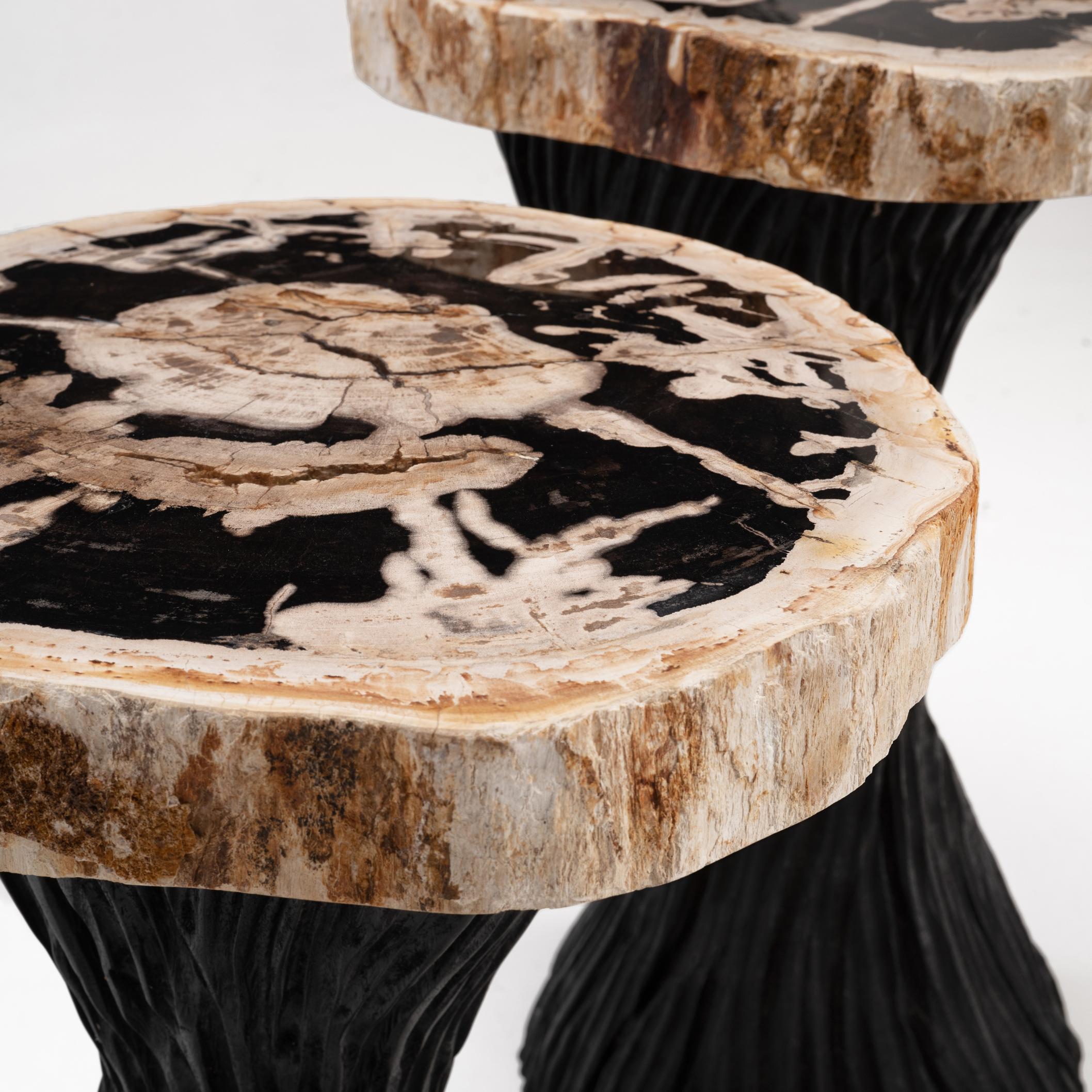Verdrehte Fantasie - • Paar - • Versteinerte Wood Wood Sculptural Beistelltische von Odditi (Organische Moderne) im Angebot
