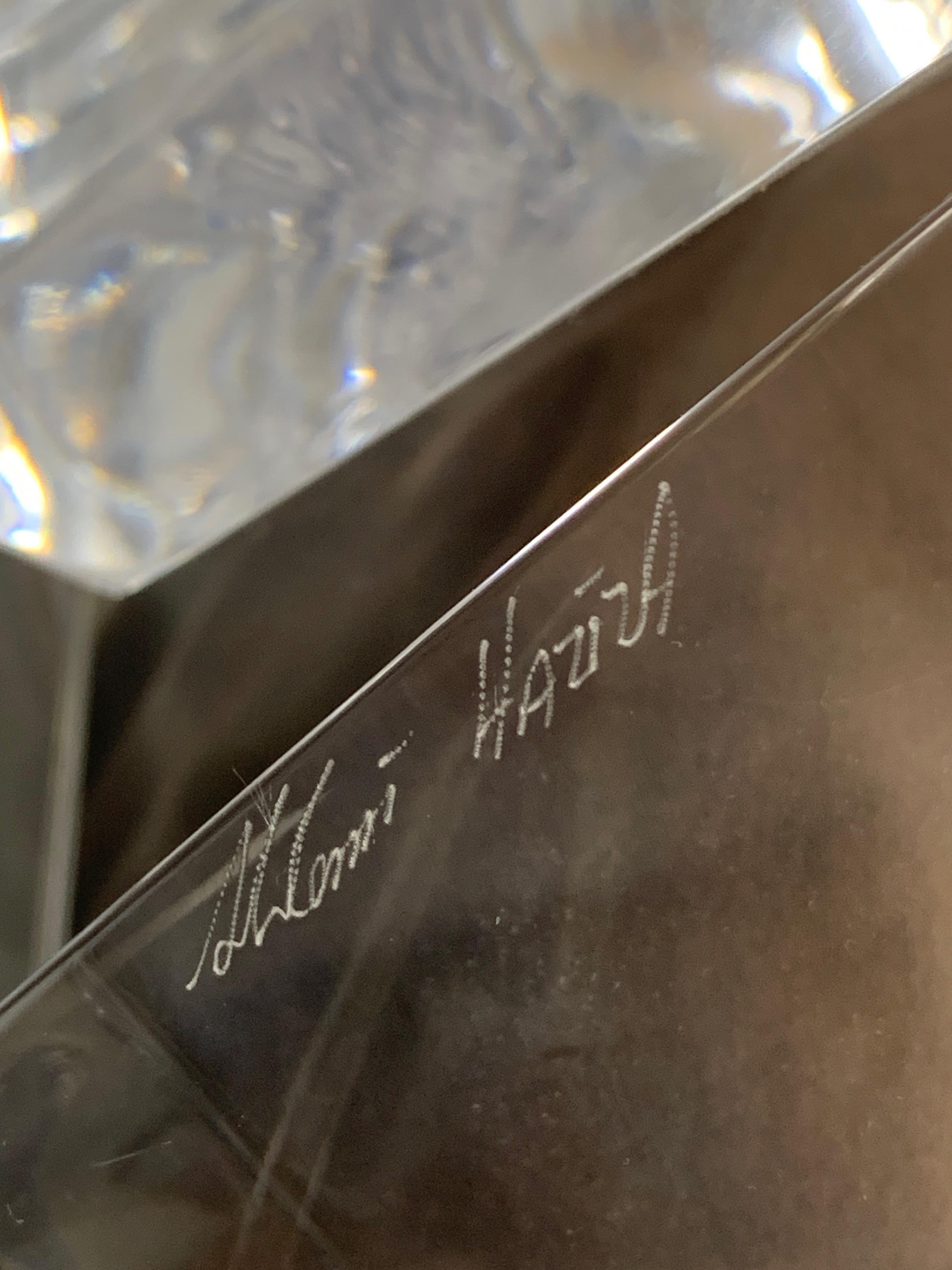 XX secolo Scultura in lucite ritorta di Shlomi Haziza in vendita