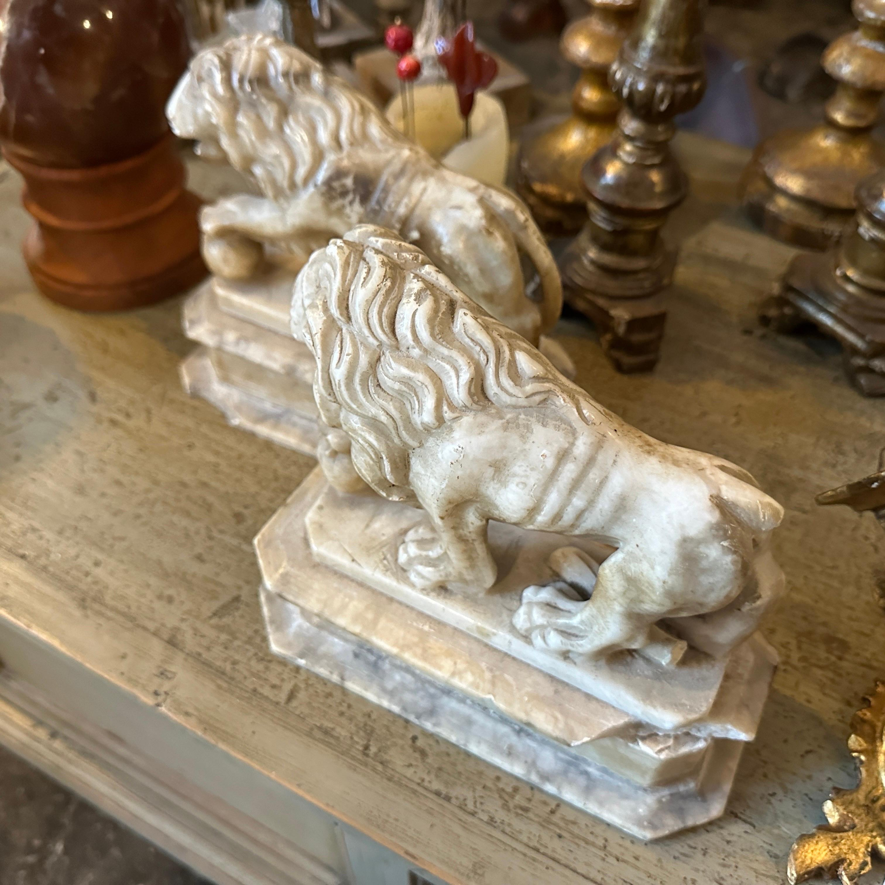 Two 1870s Roman Style Hand-Carved Alabaster Italian Sculptures of Lions 8