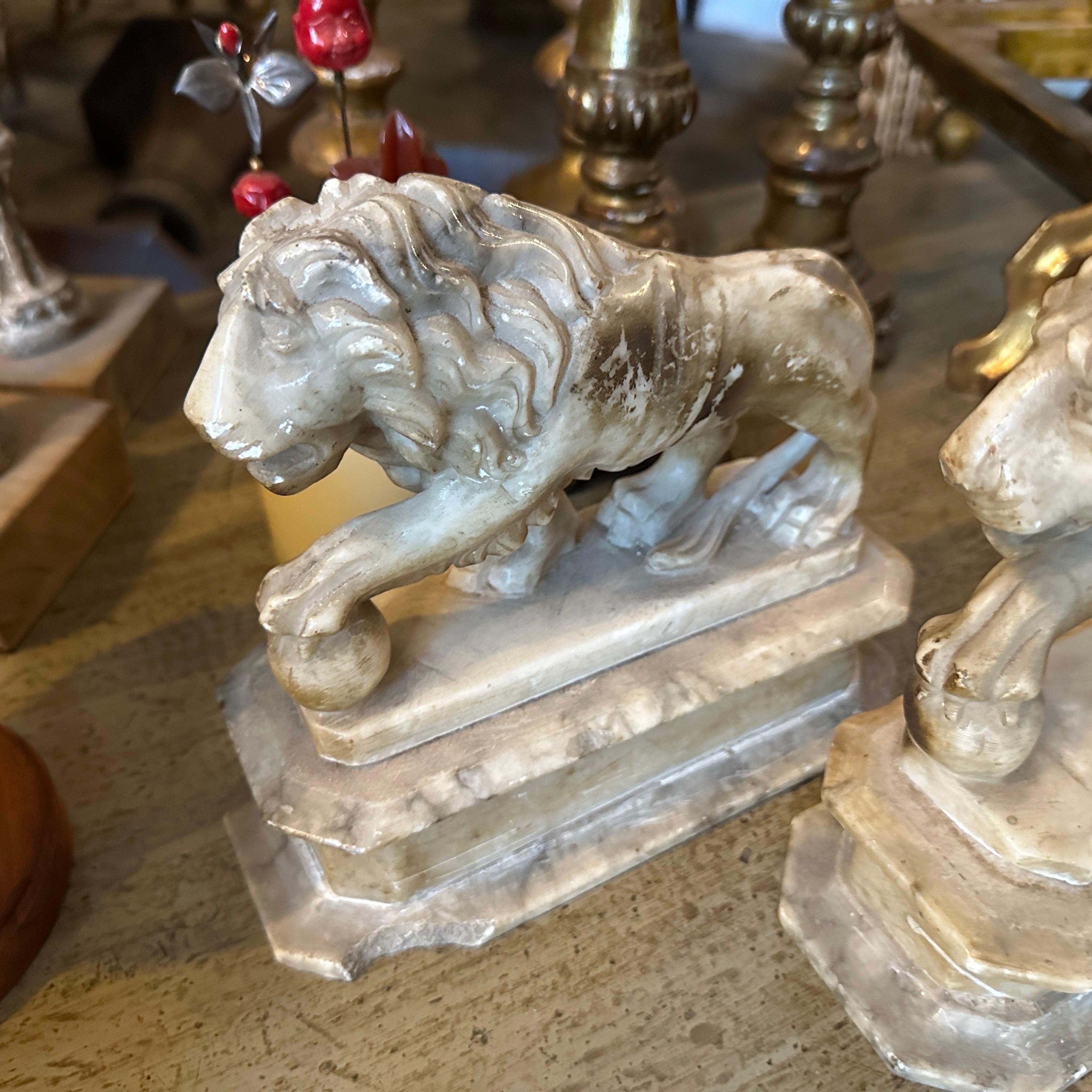 Two 1870s Roman Style Hand-Carved Alabaster Italian Sculptures of Lions 9