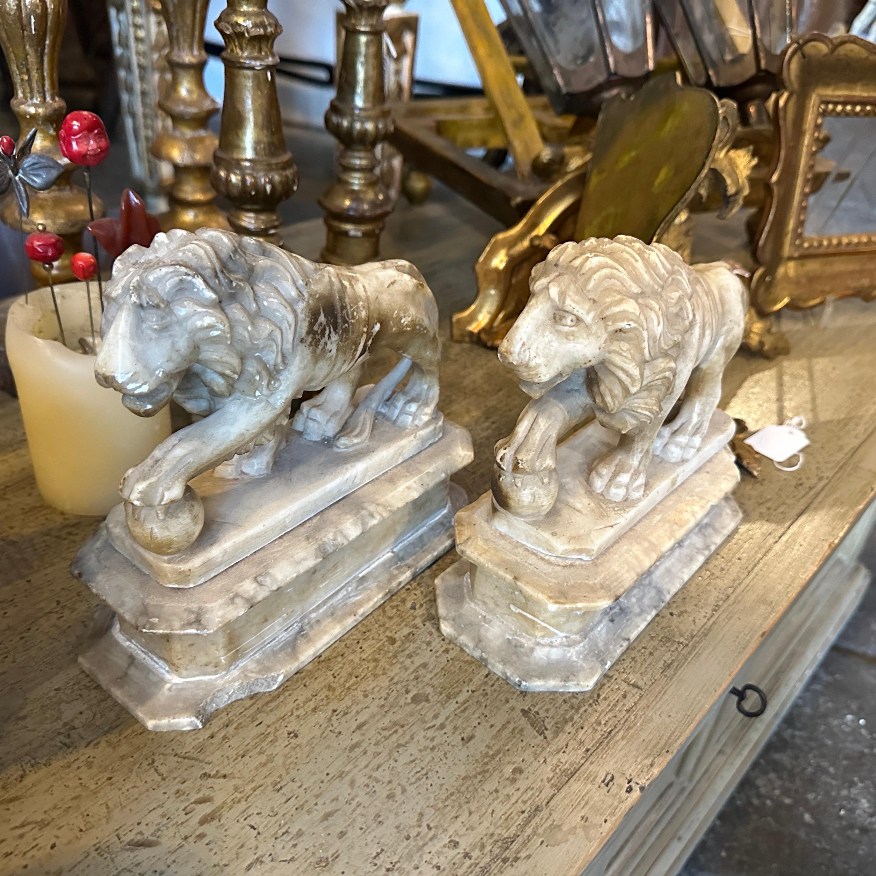 Two 1870s Roman Style Hand-Carved Alabaster Italian Sculptures of Lions 10