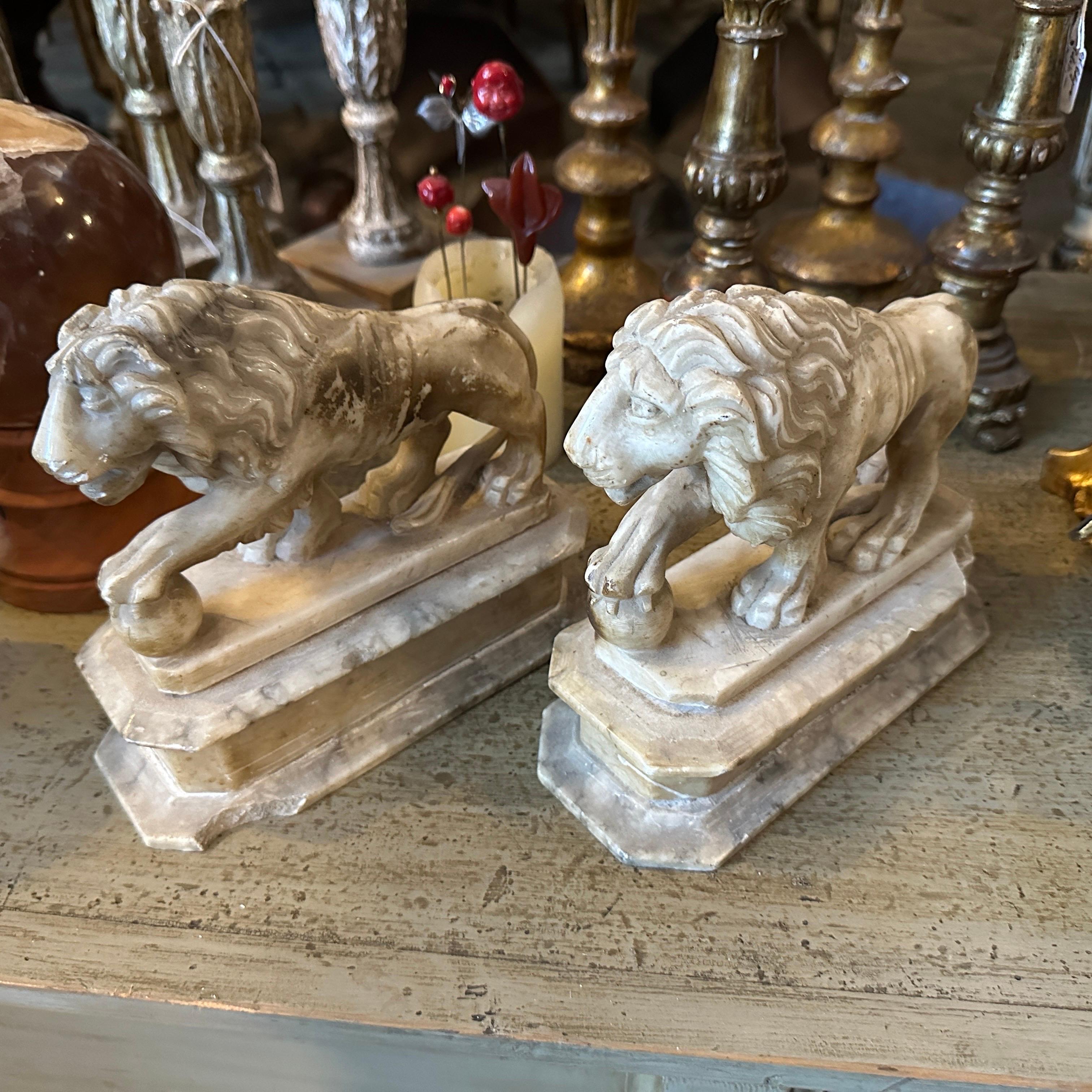 These are two hand-carved alabaster sculptures of lions from the 1870s, designed in a Roman style. Each sculpture features a lion standing on a rectangular base, with one paw resting on a spherical object, which is a common motif in classical art