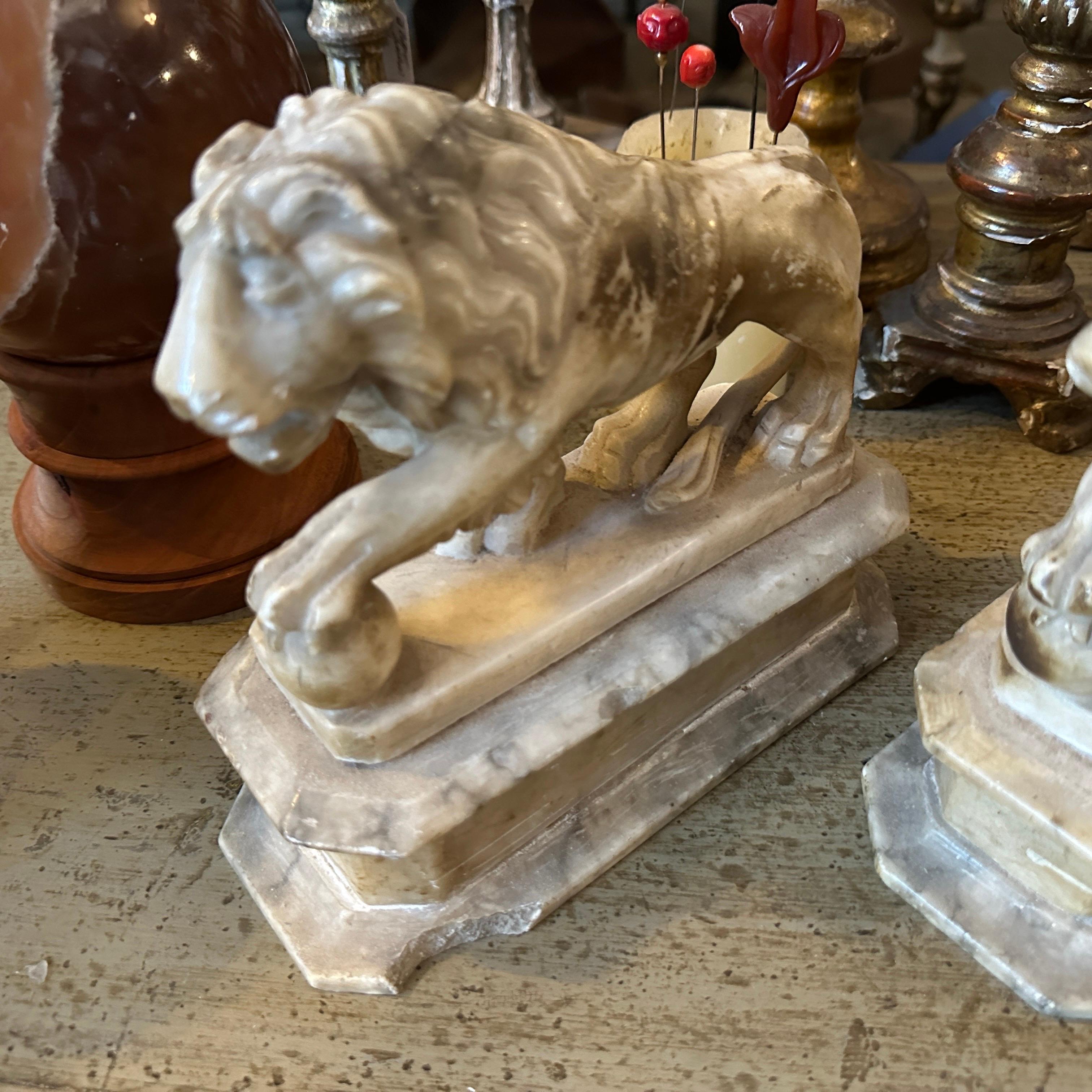 Two 1870s Roman Style Hand-Carved Alabaster Italian Sculptures of Lions In Good Condition In Catania, Sicilia