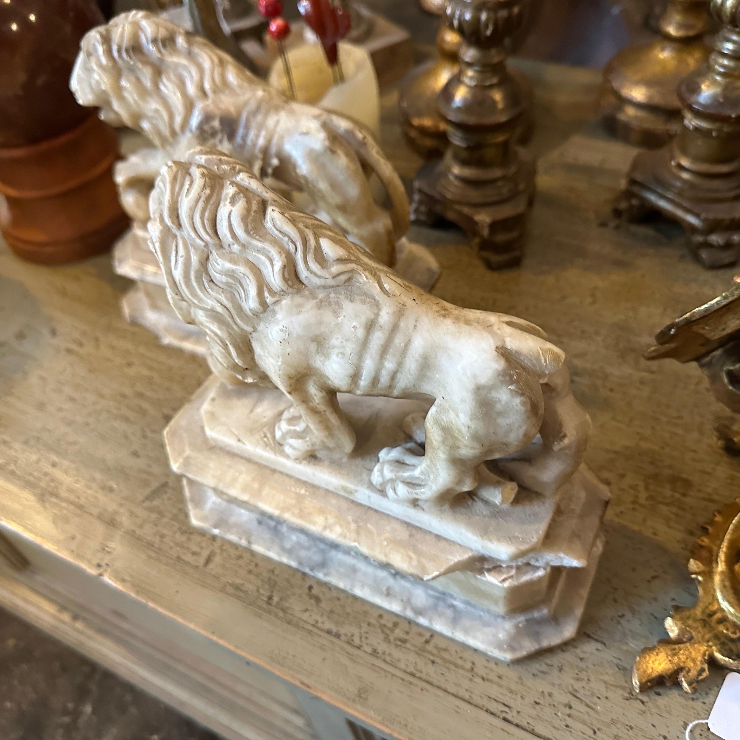 Two 1870s Roman Style Hand-Carved Alabaster Italian Sculptures of Lions 2