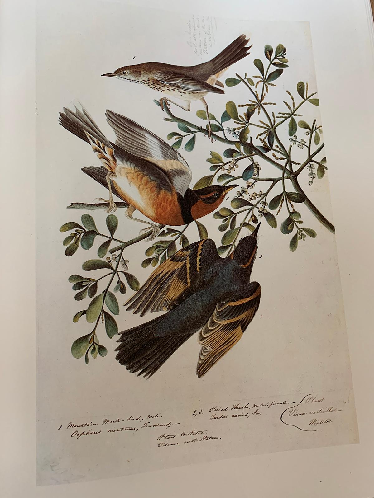 Two 1966 Volumes of Original Water Color Painting of Birds by John James Audubon 11