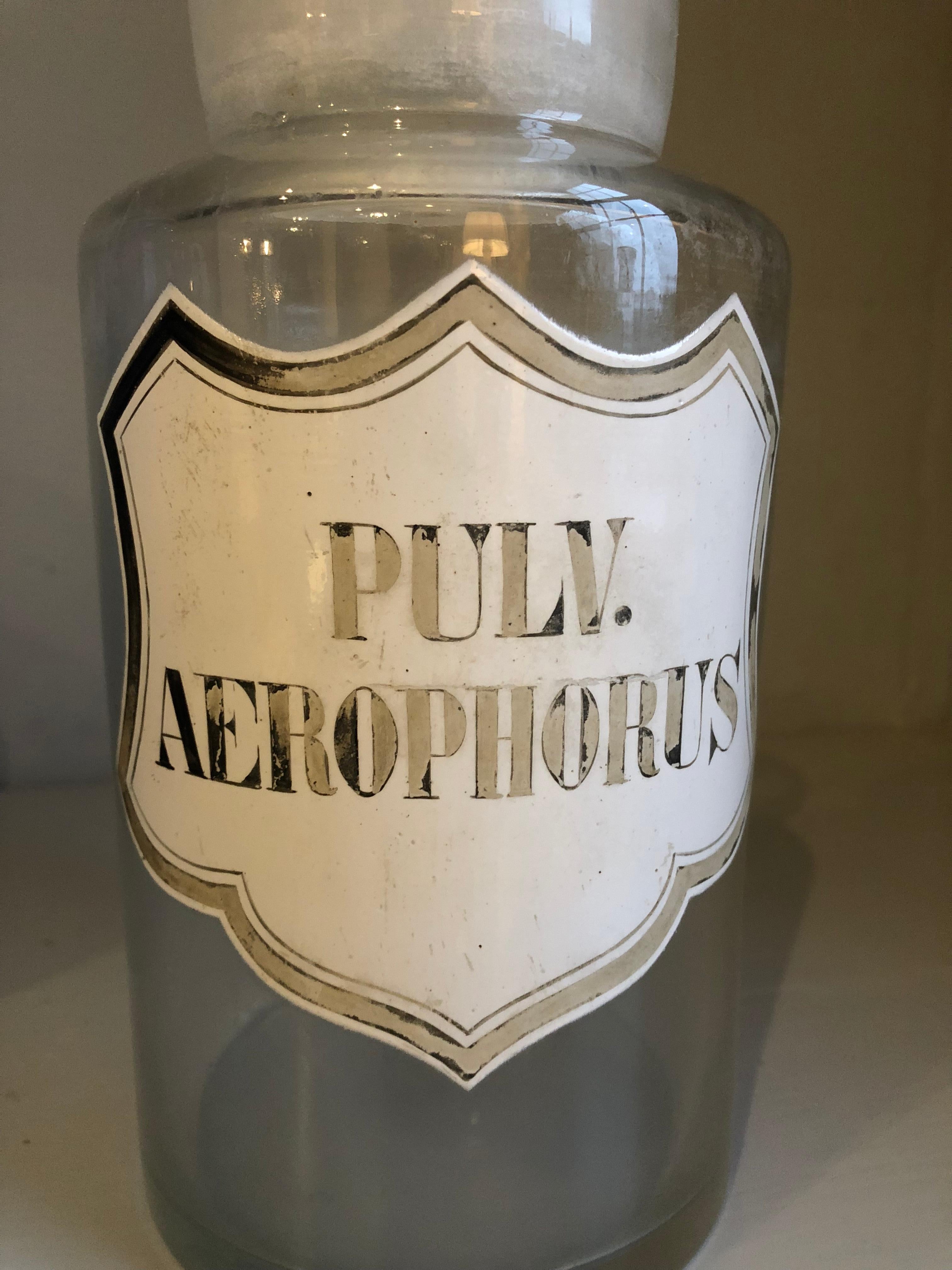 Two 19th Century Apothecary Jars 4
