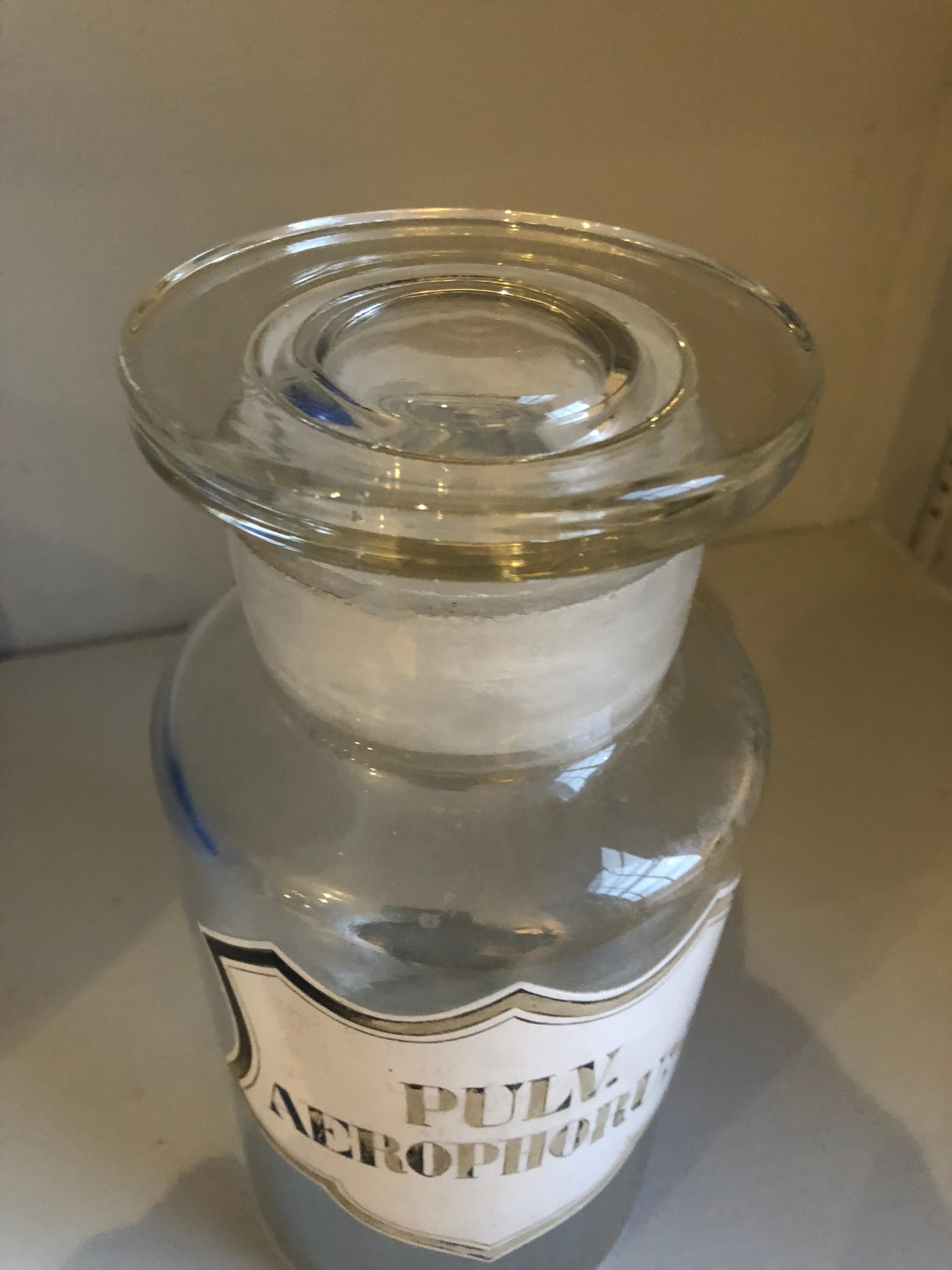 Two 19th Century Apothecary Jars 5