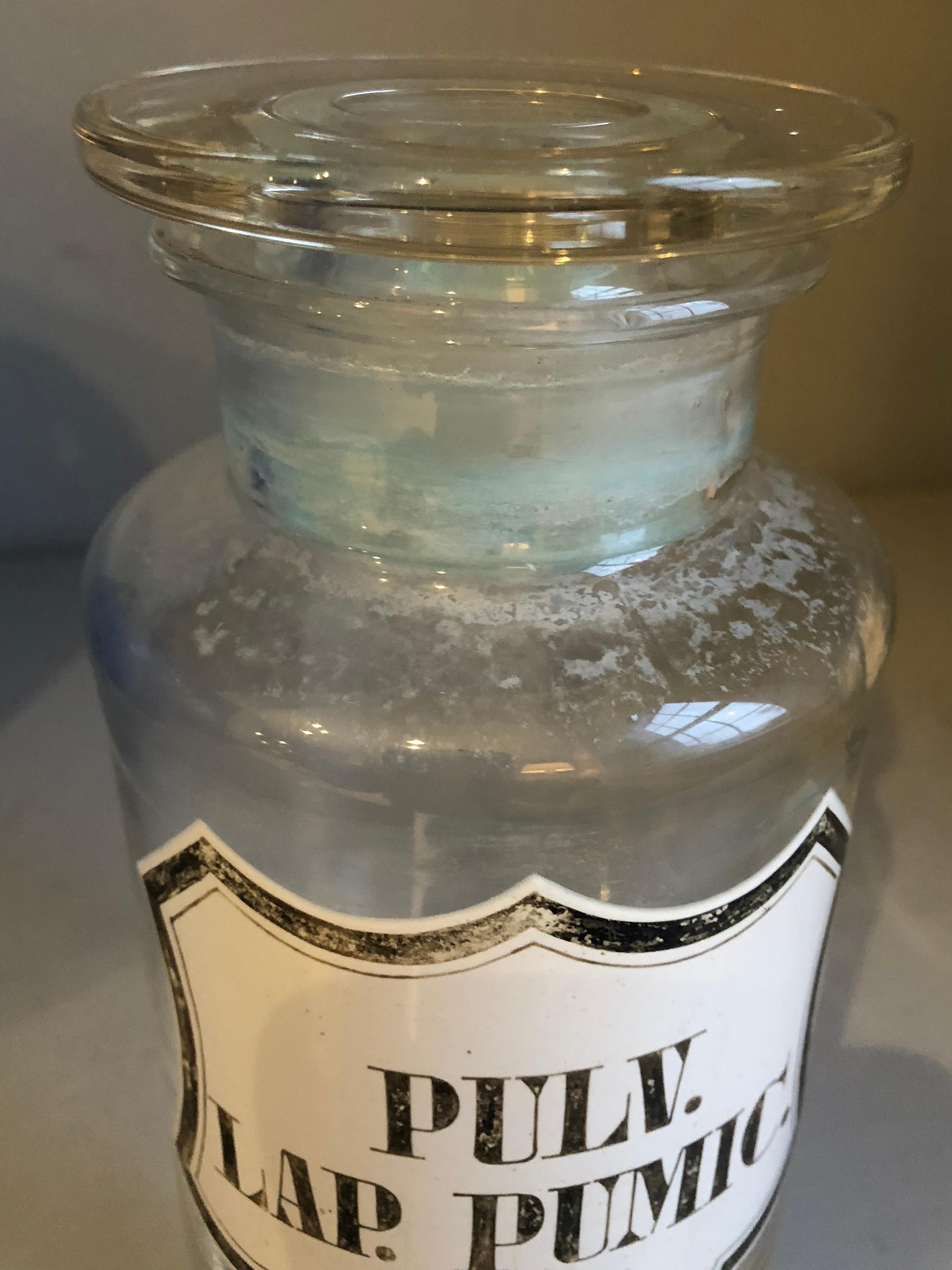 Two 19th Century Apothecary Jars 2