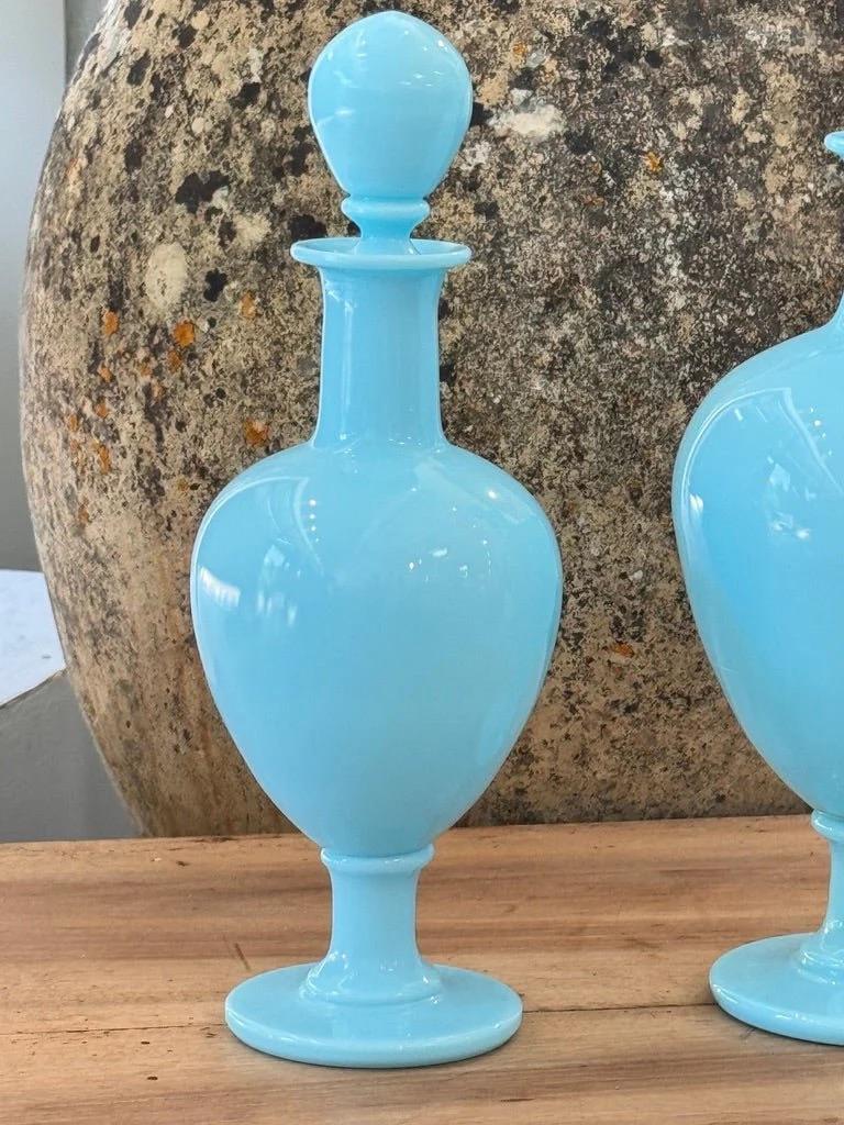 Glass Two 19th Century French blue opaline apothecary bottles For Sale