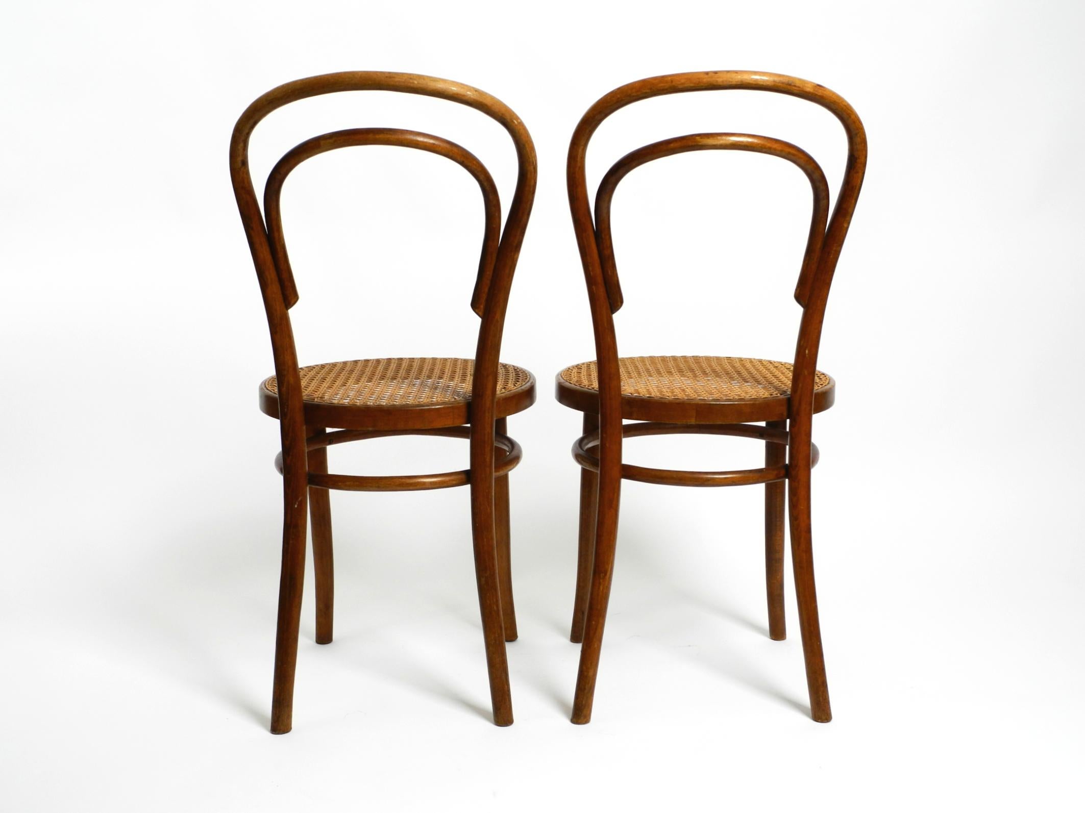 Two 30s coffee house chairs made of bentwood with cane weave by ZPM Radomsko In Good Condition In München, DE
